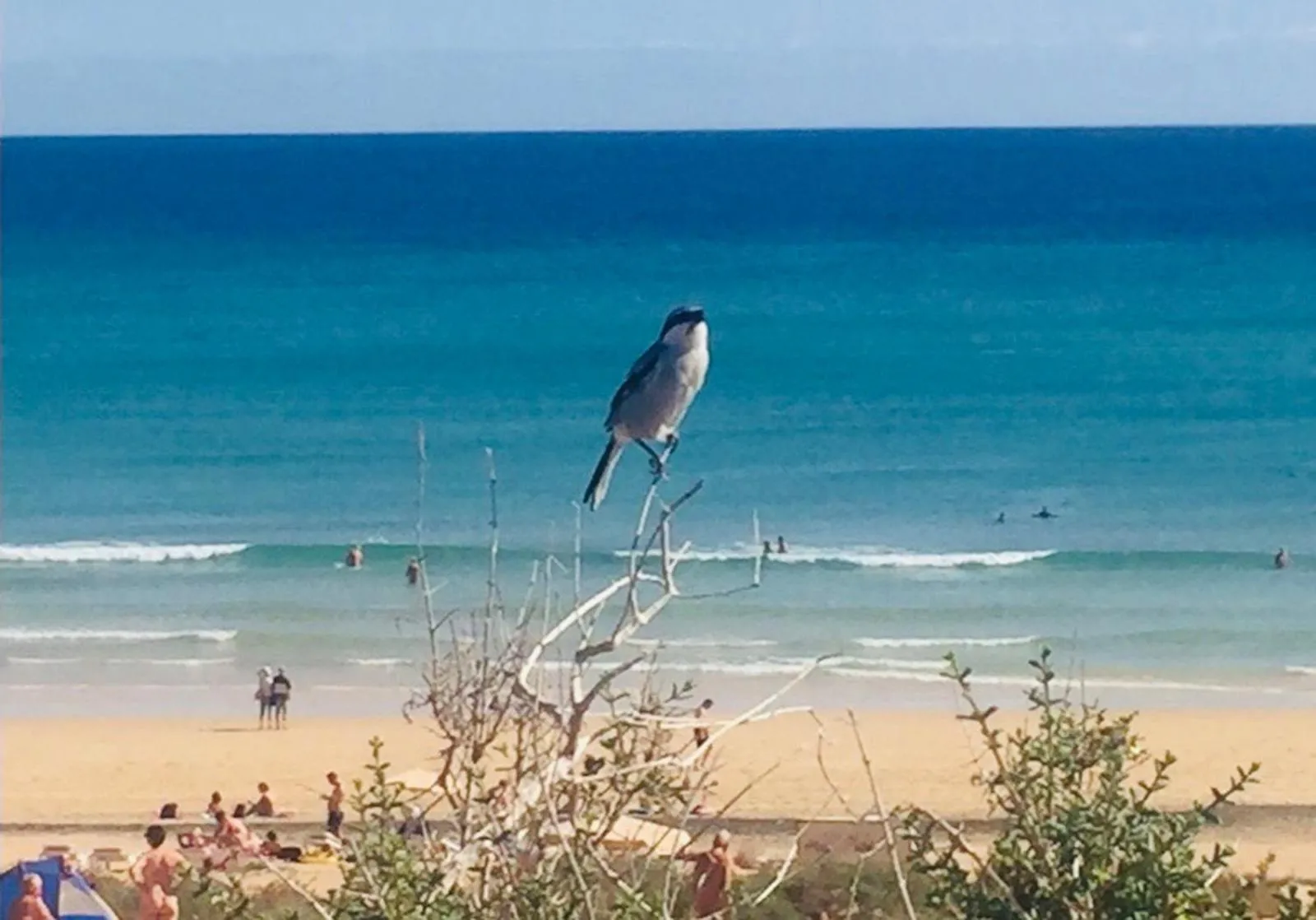 Beach in Fuertevillage