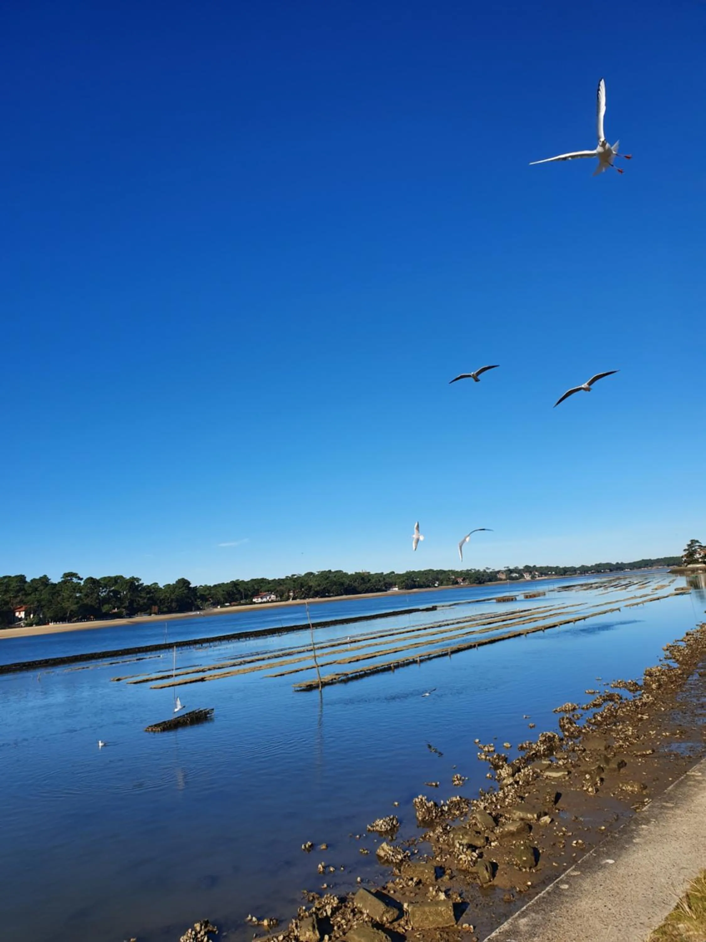 Lake view in Hotel Le Pavillon Bleu