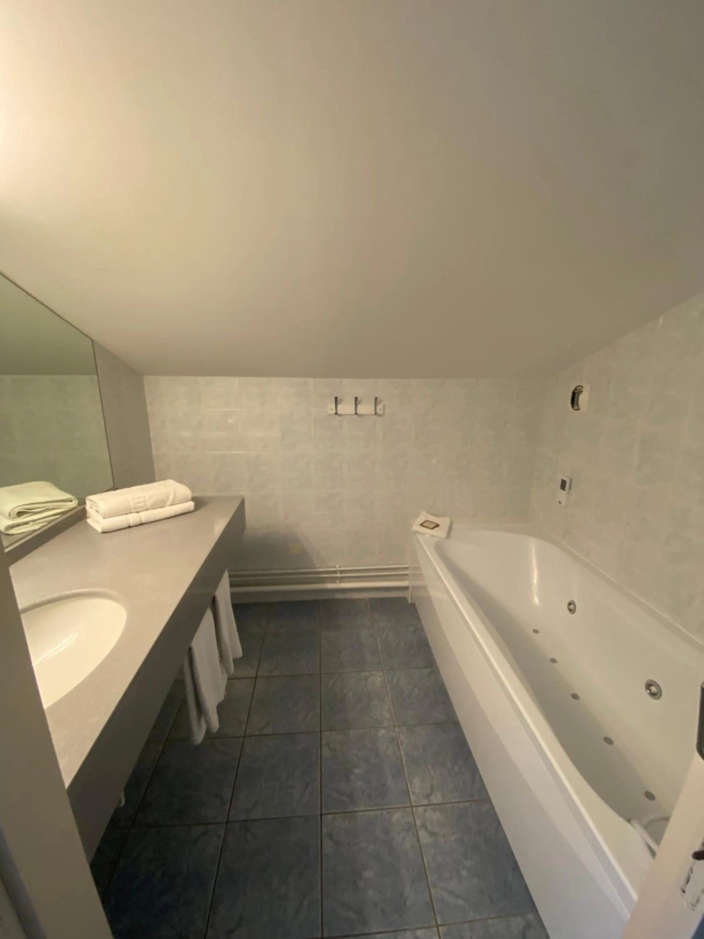 Bathroom in Hotel Le Pavillon Bleu