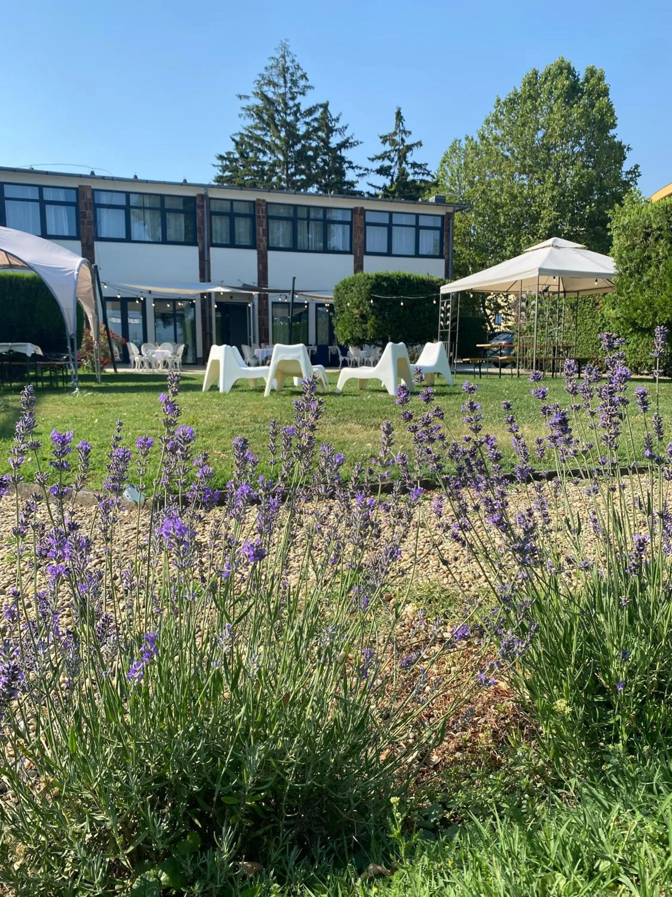 Garden in PLAGE-ON Panzió