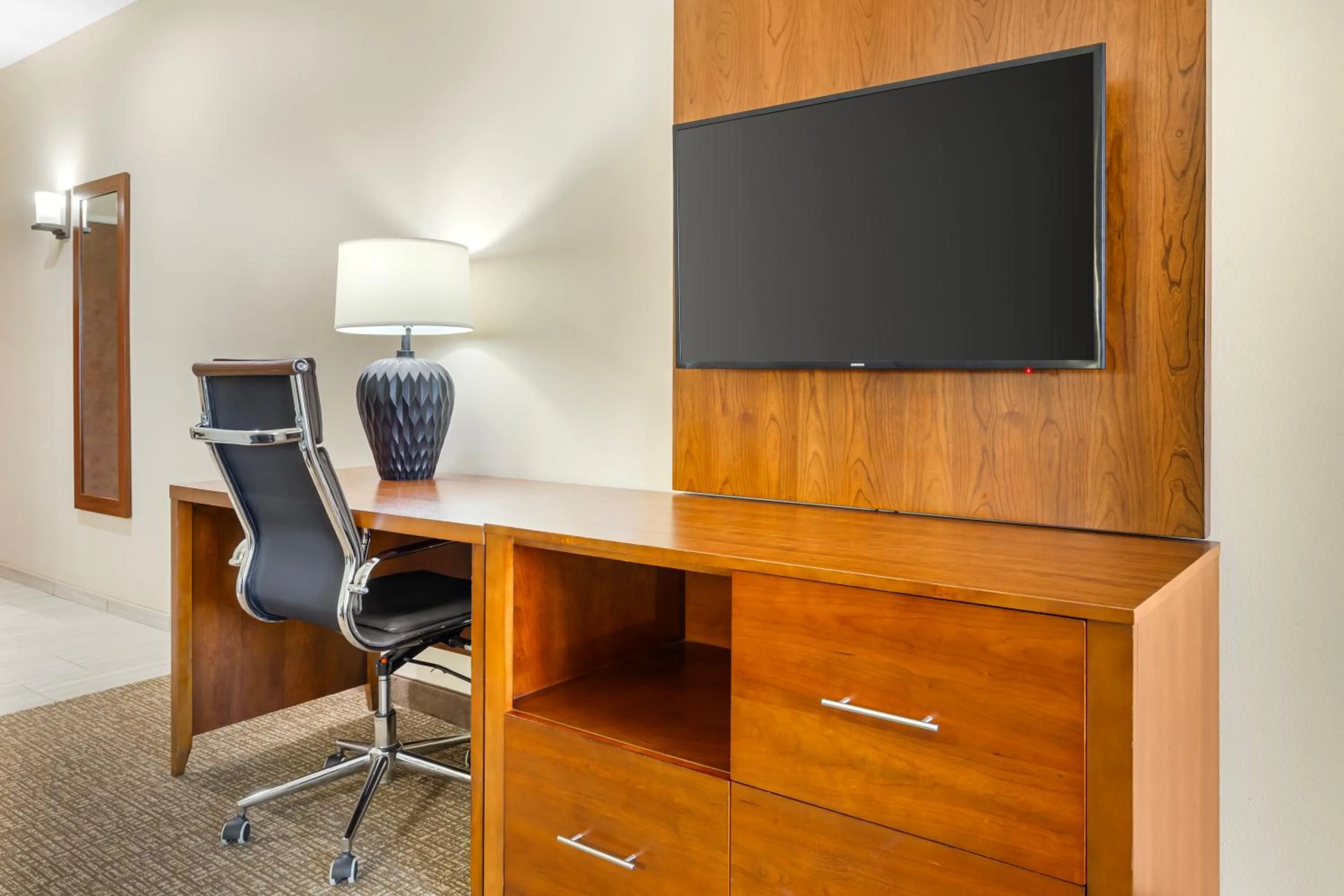 TV and multimedia in Comfort Suites Greensboro-High Point