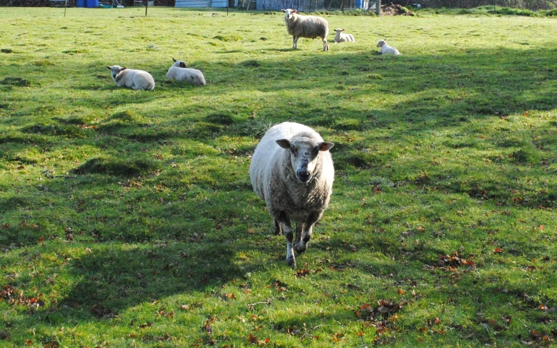 Nearby landmark in Chambres d'hôtes La Tribu