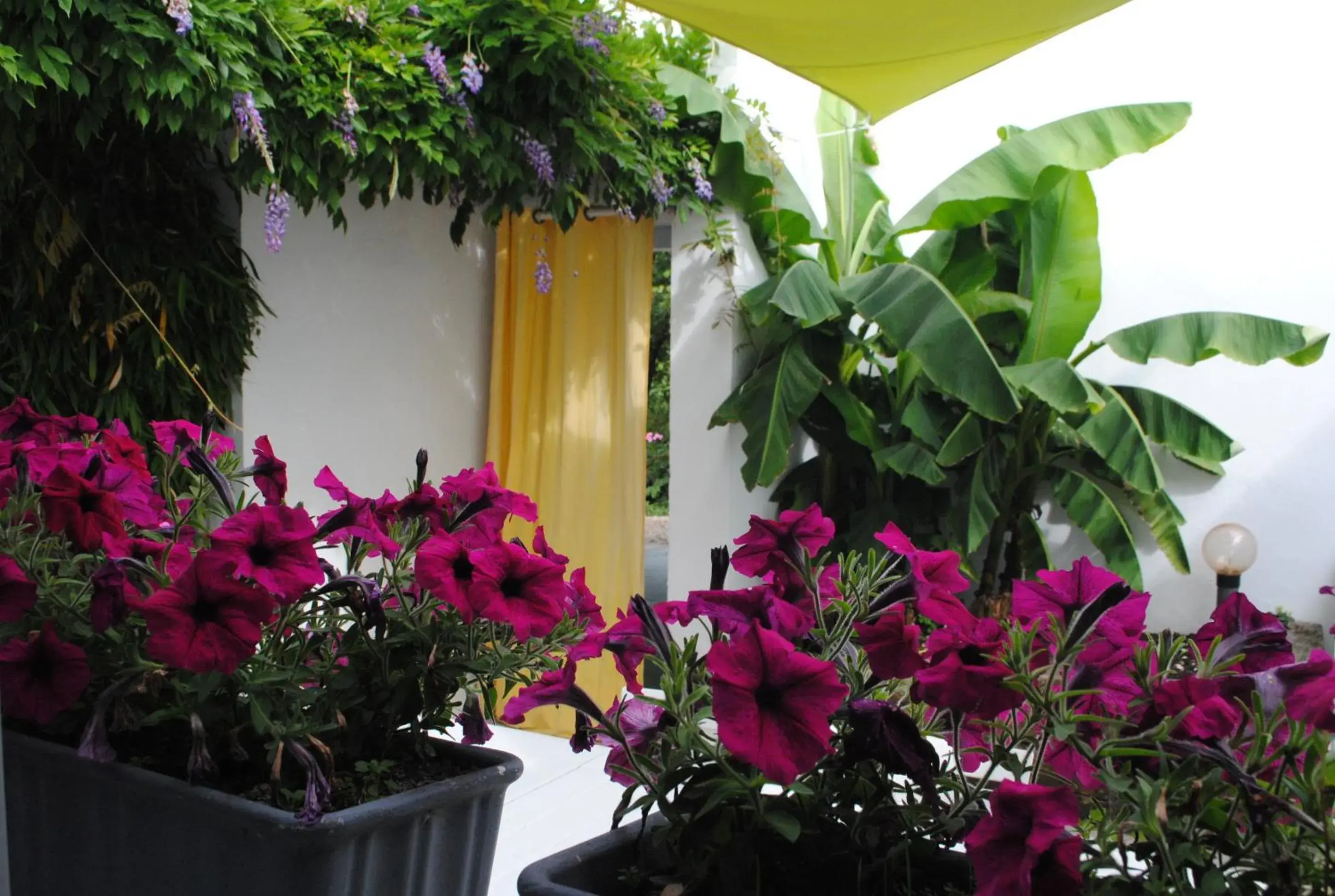 Chambres d'hôtes La Tribu Chambres d'hôtes La Tribu