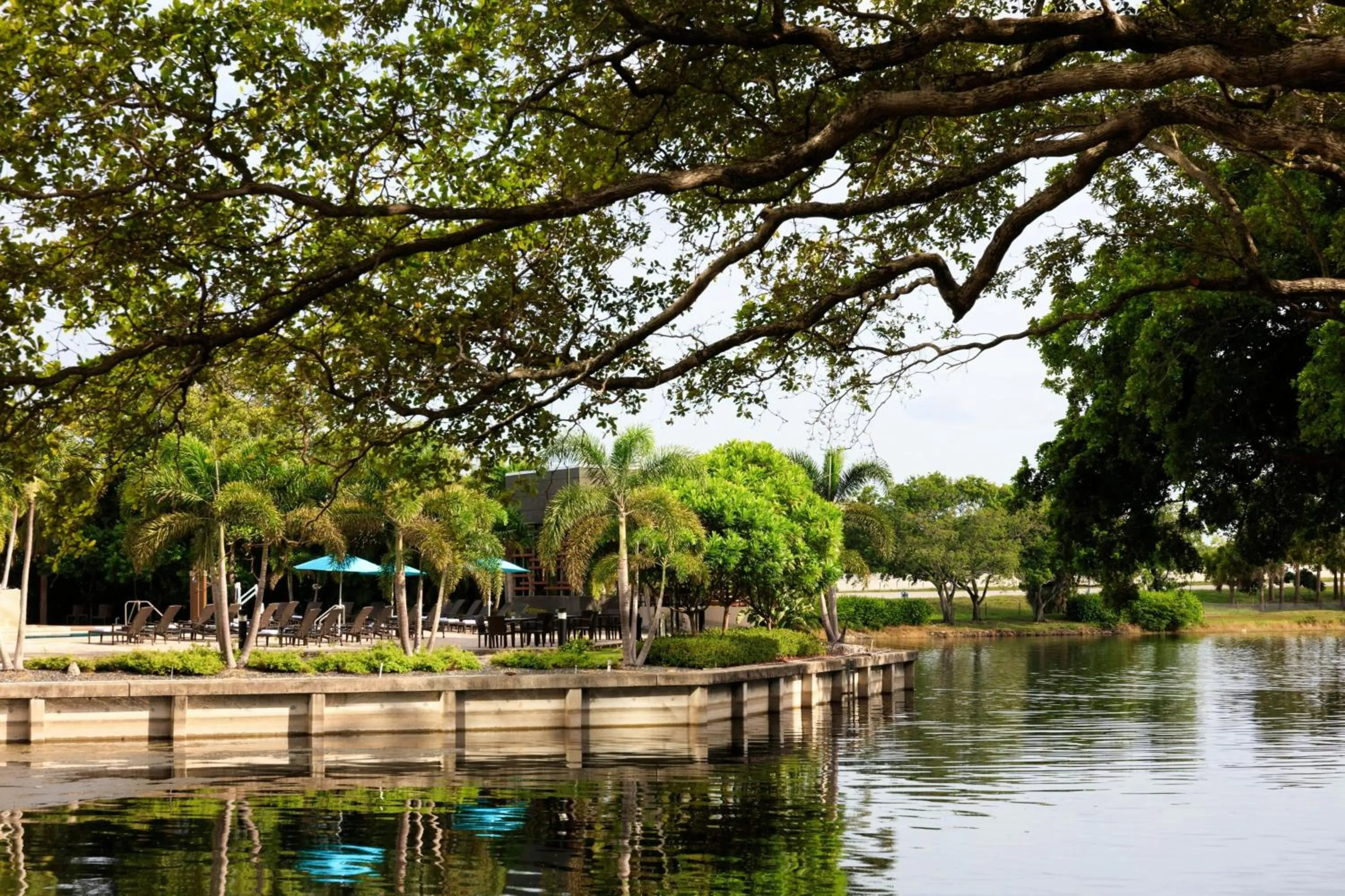 View (from property/room) in The Westin Fort Lauderdale