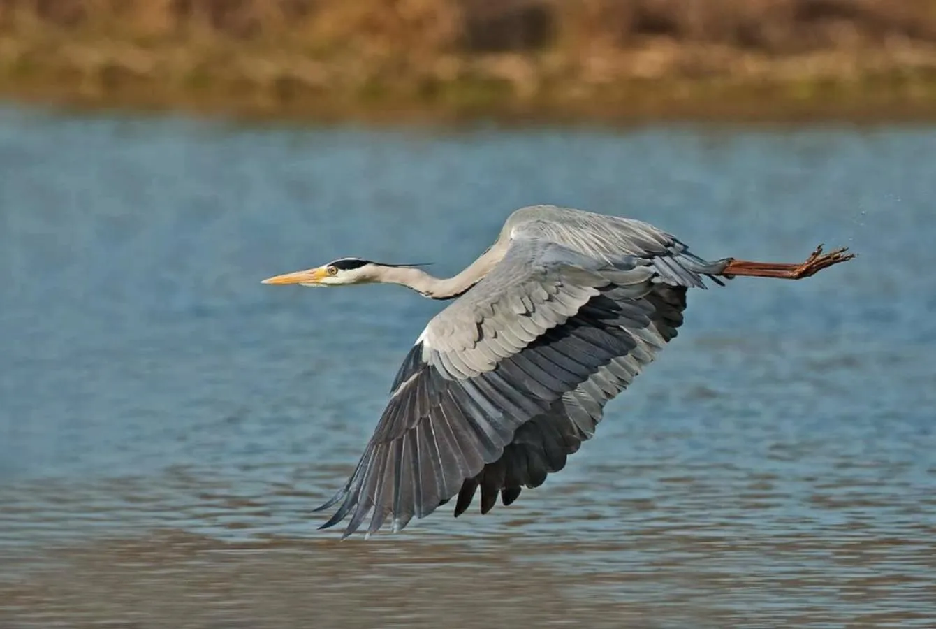 Natural landscape in Casa di Zela