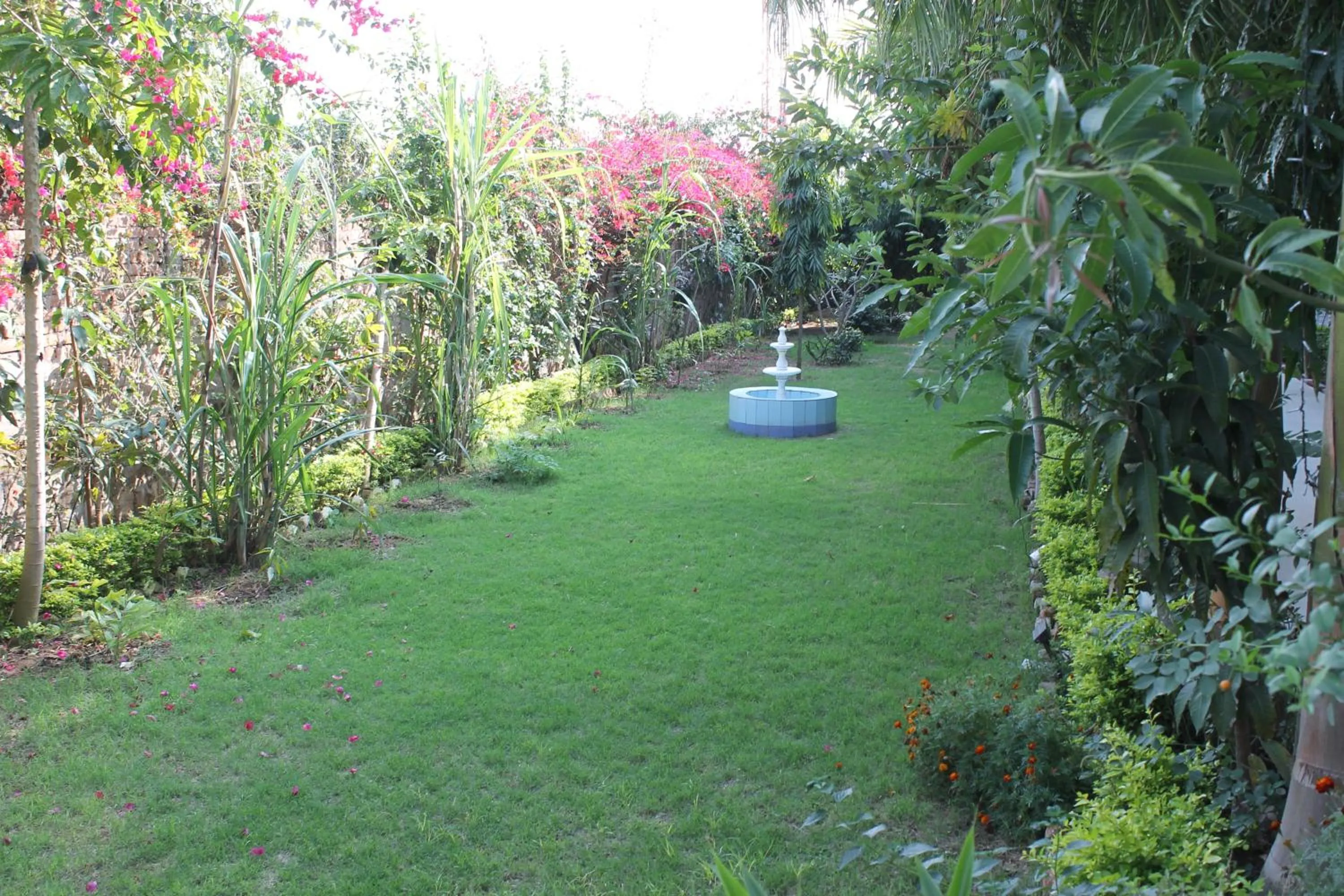 Garden in Hotel isabel Palace