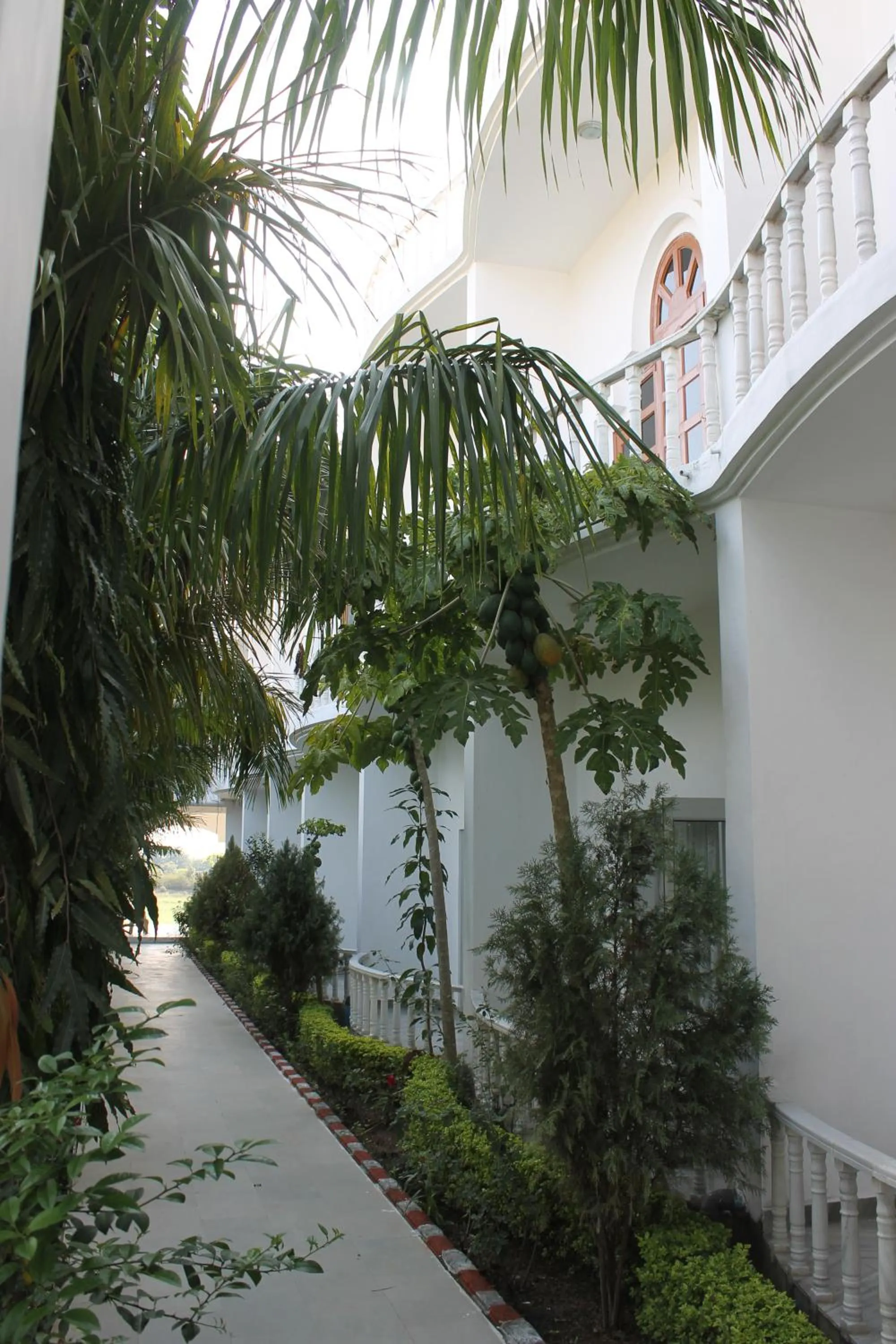 Property building in Hotel isabel Palace