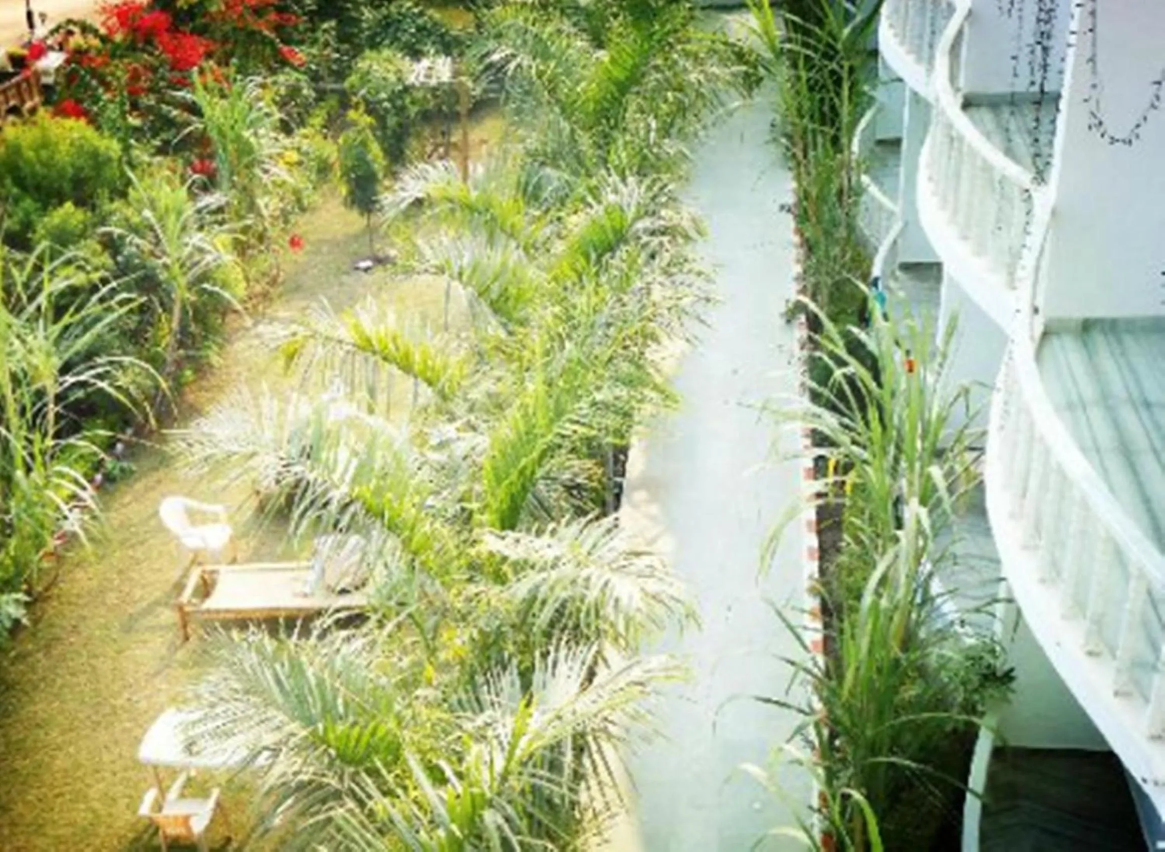 Garden view in Hotel isabel Palace