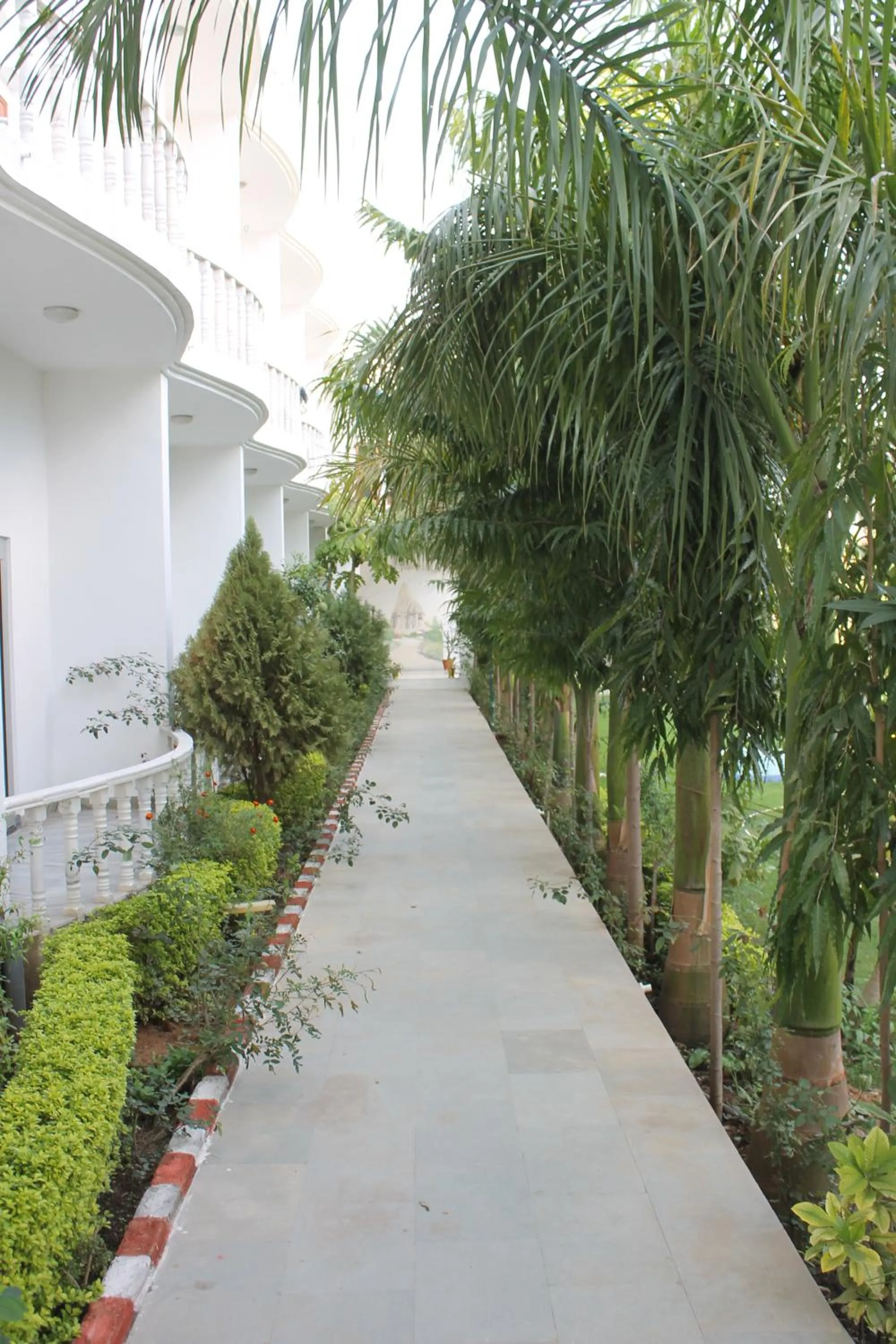 Garden in Hotel isabel Palace