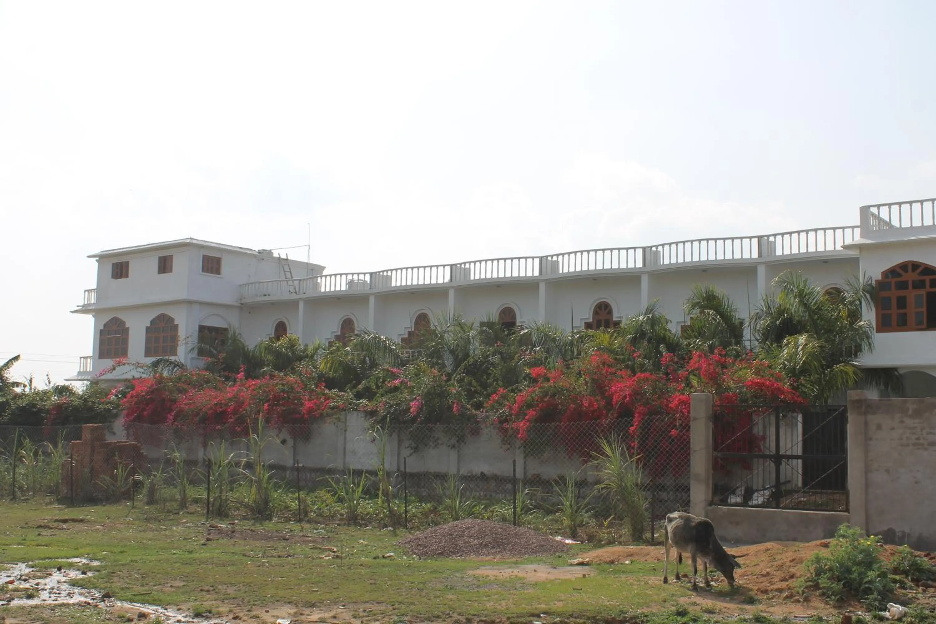 Property building in Hotel isabel Palace
