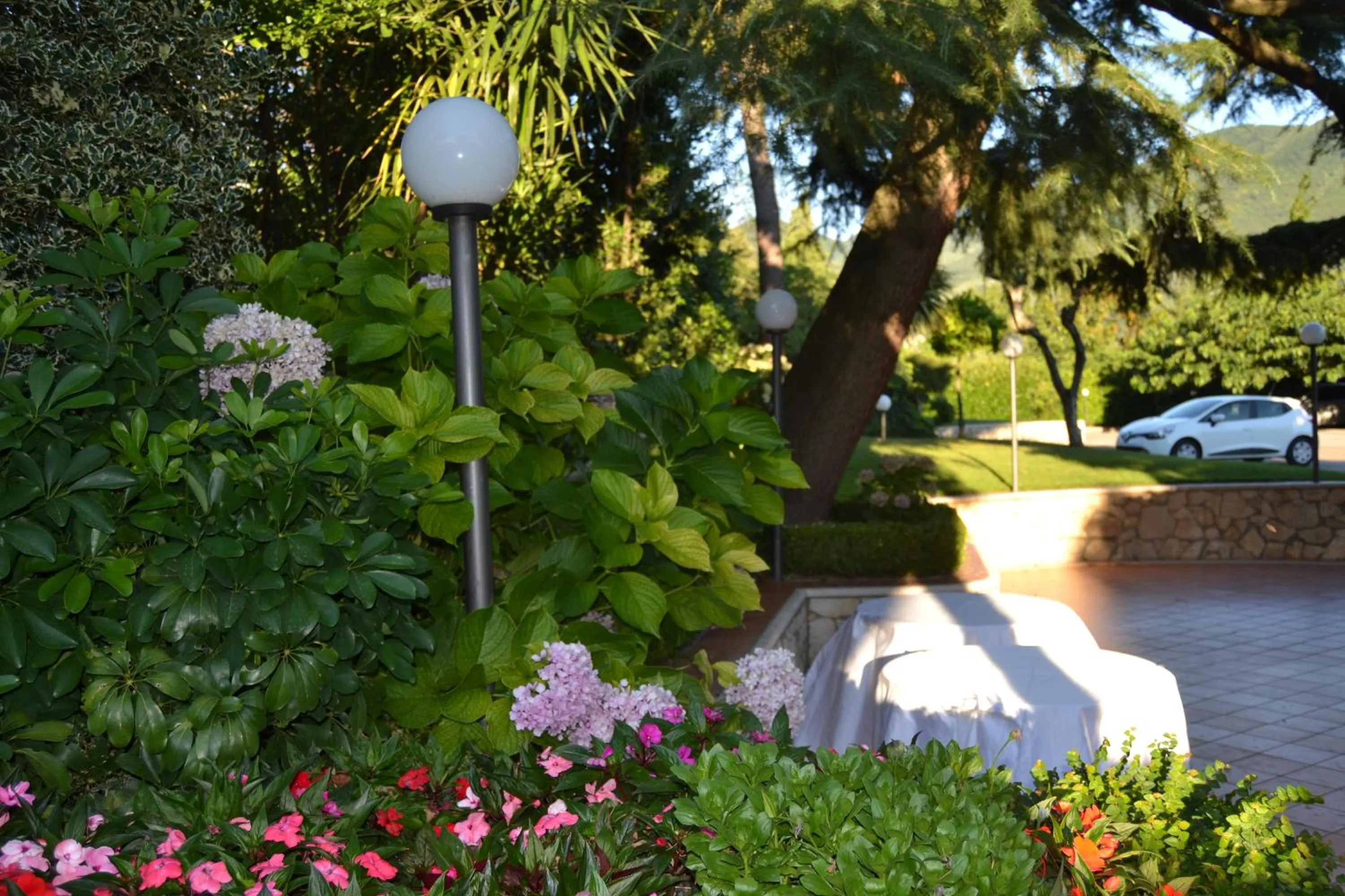 Garden in Yellow Park Hotel
