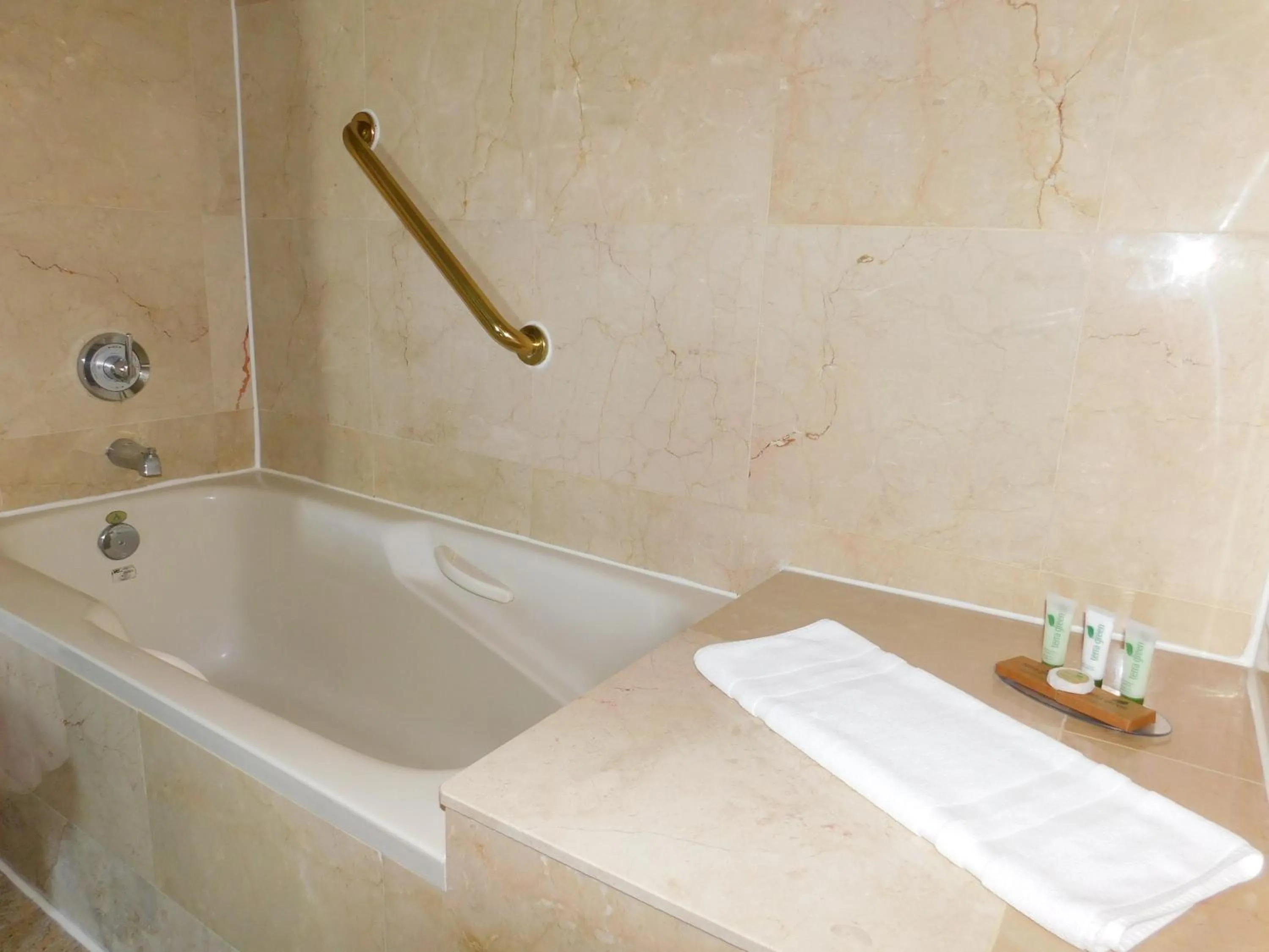 Shower in Meadowlands View Hotel