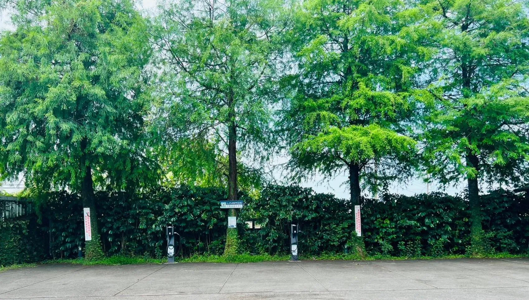 Parking in River Forest Leisure Farm