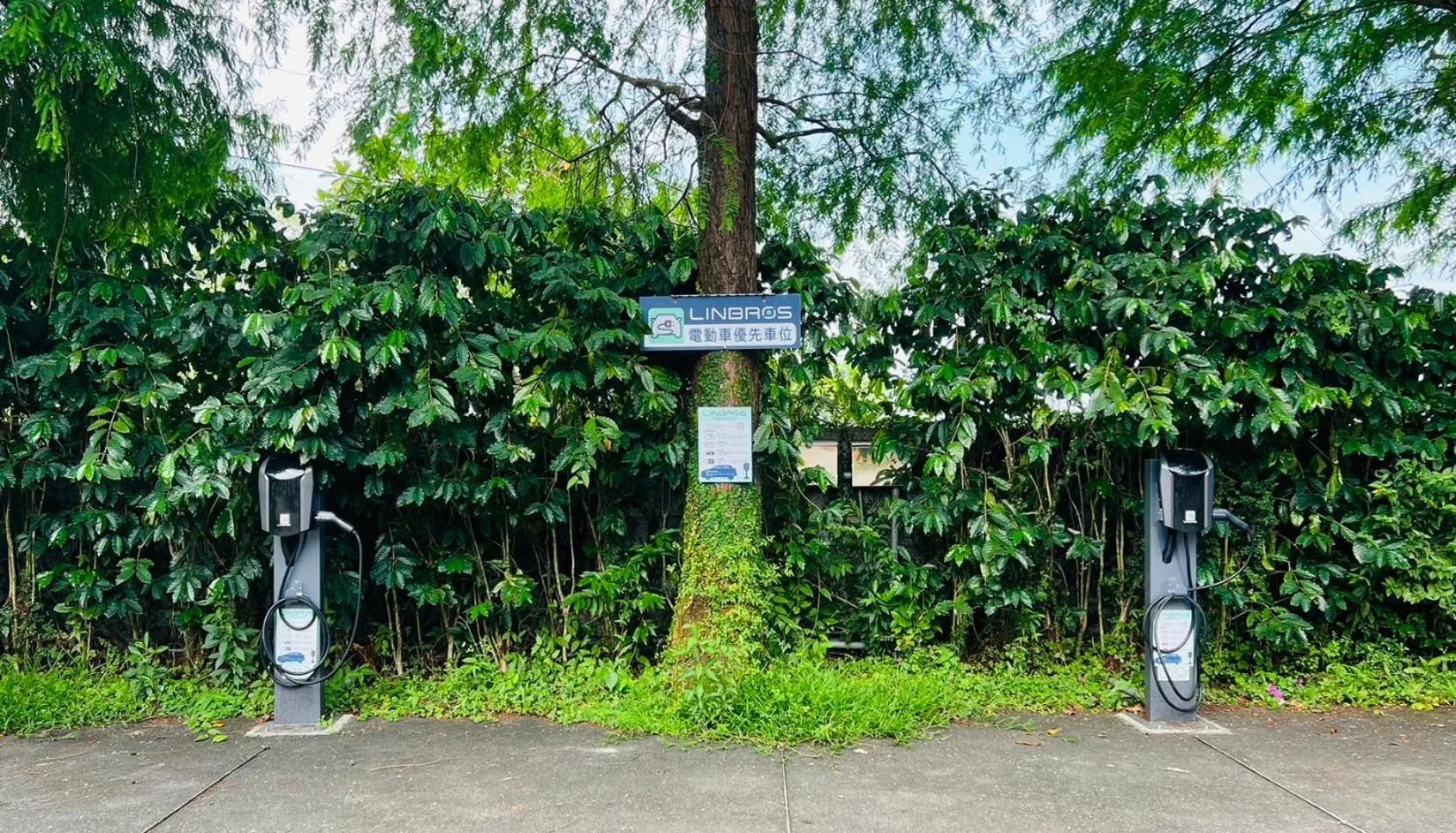 Parking in River Forest Leisure Farm