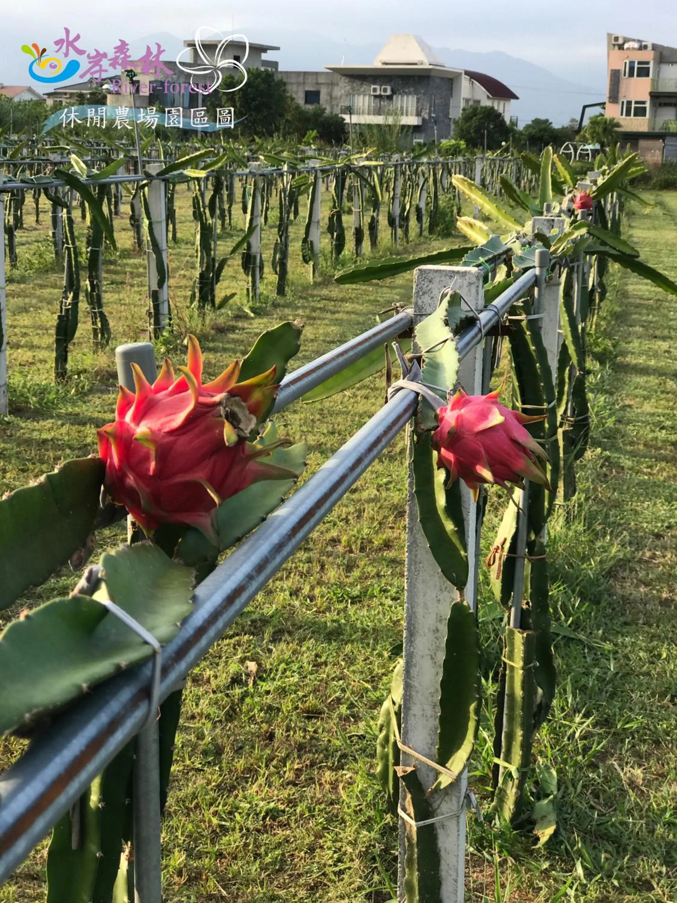 Off site in River Forest Leisure Farm