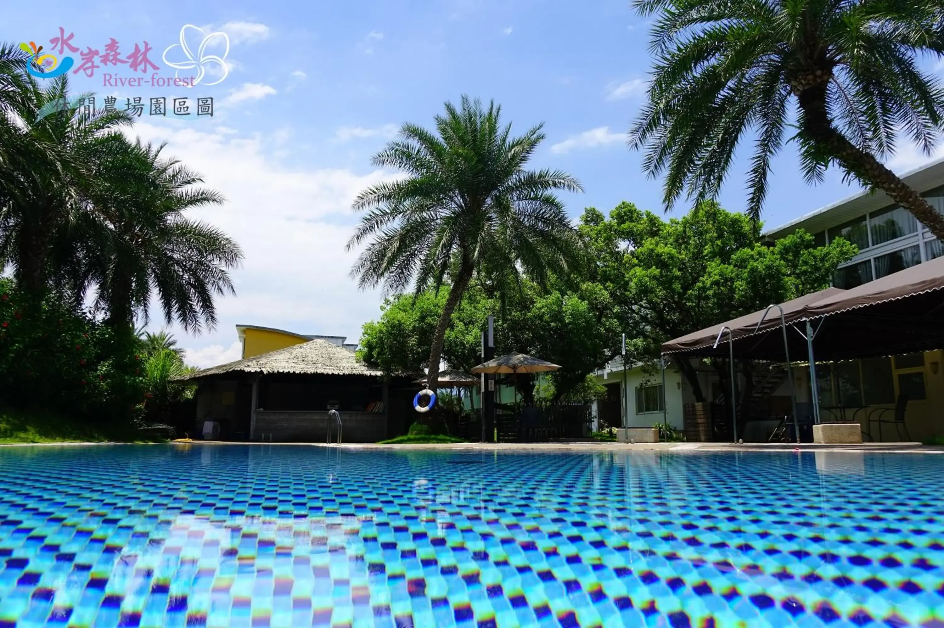 Swimming pool in River Forest Leisure Farm Swimming pool in River Forest Leisure Farm