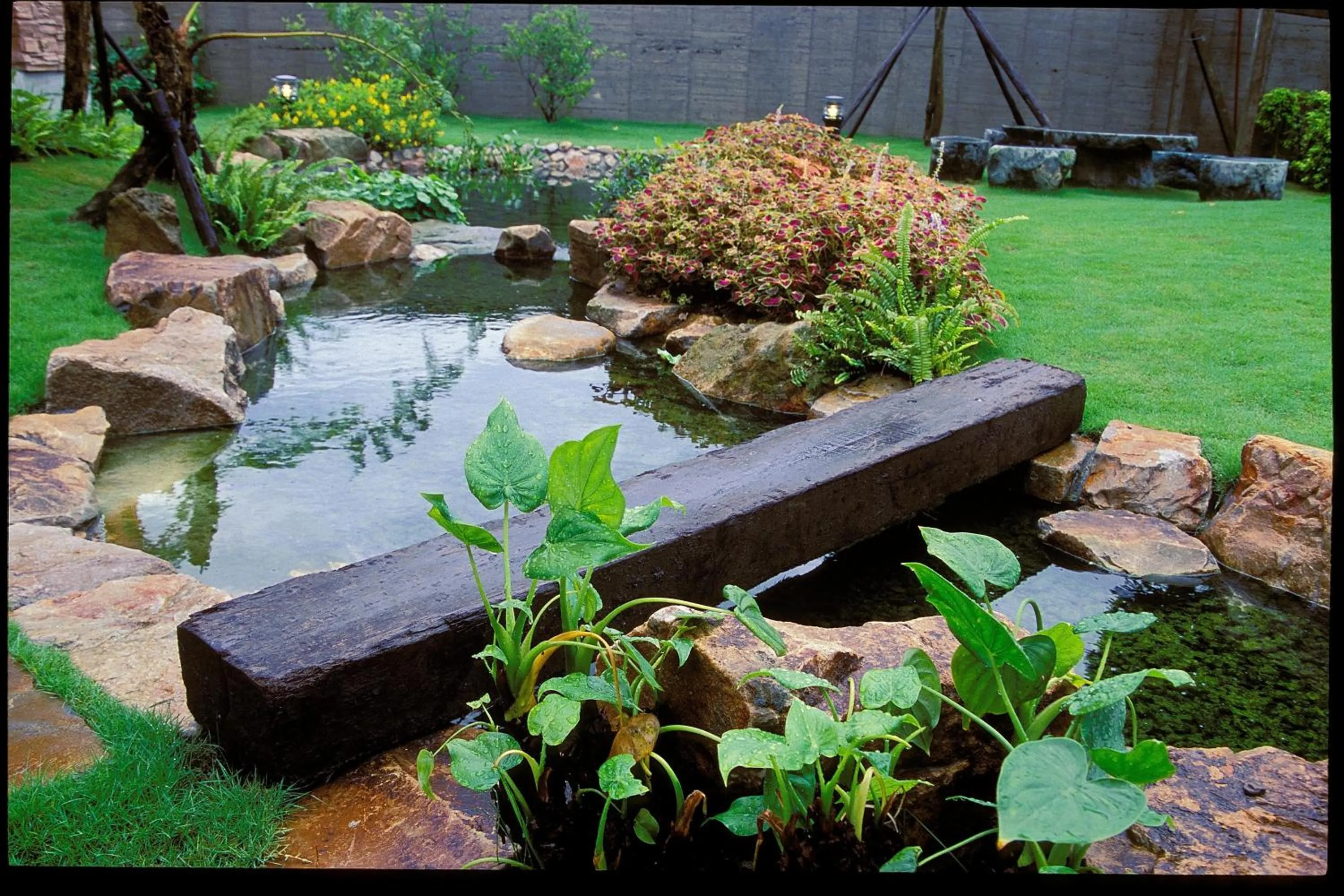 Garden in The Dew B&B 晨露庄 民宿