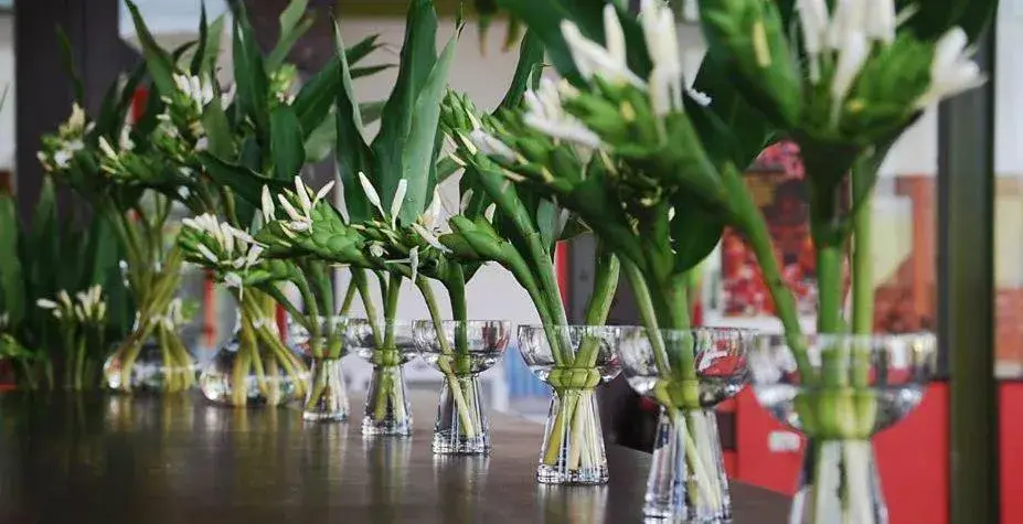 Restaurant/places to eat in March 3 B&B Yilan Restaurant/places to eat in March 3 B&B Yilan