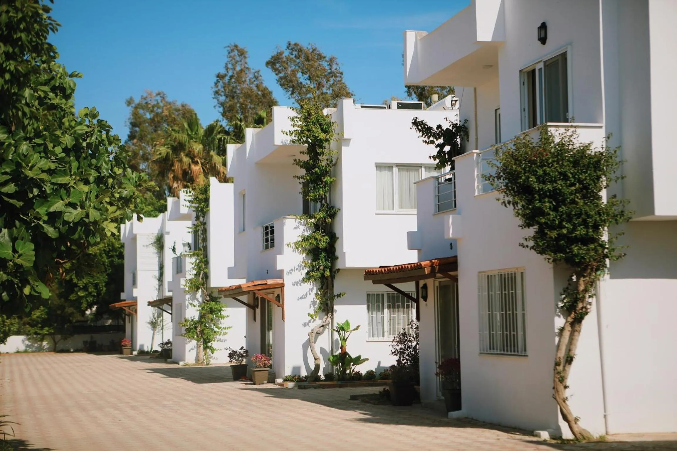 Lavinya Otel