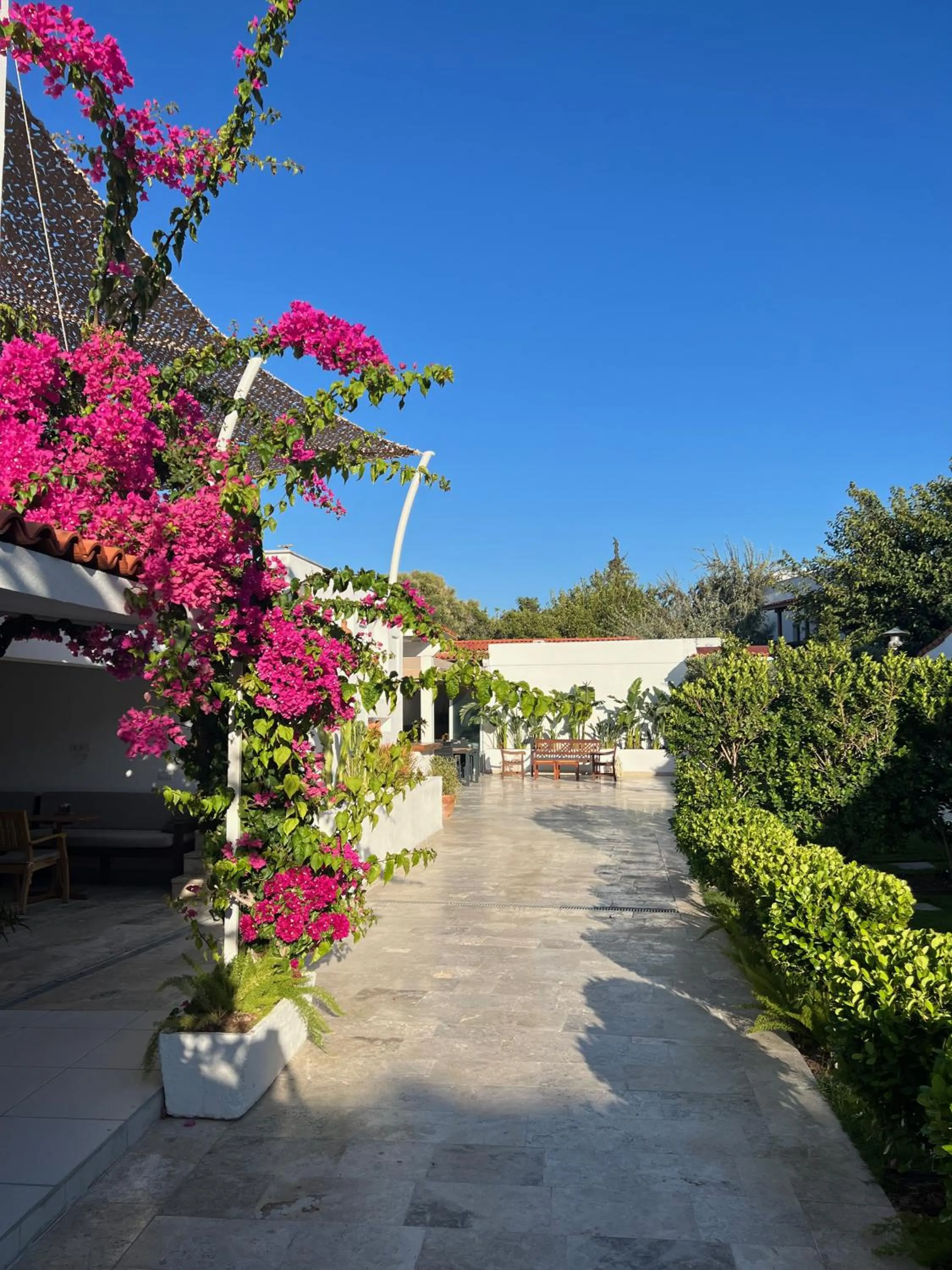 Lavinya Otel