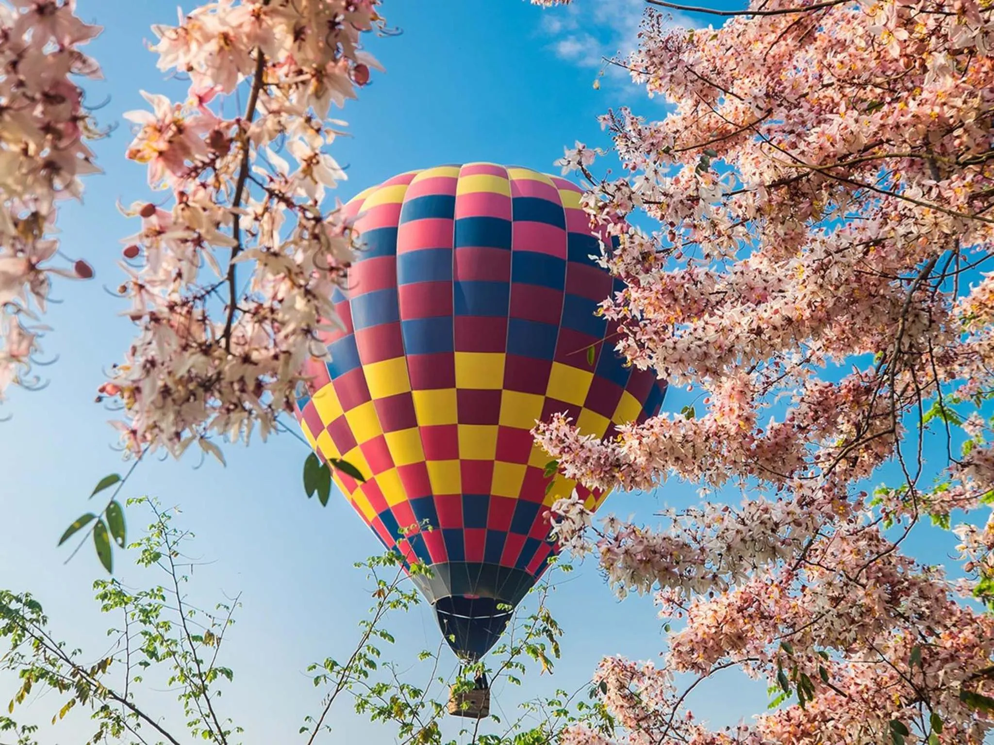 Spring in Luminous Hot Spring Resort & SPA