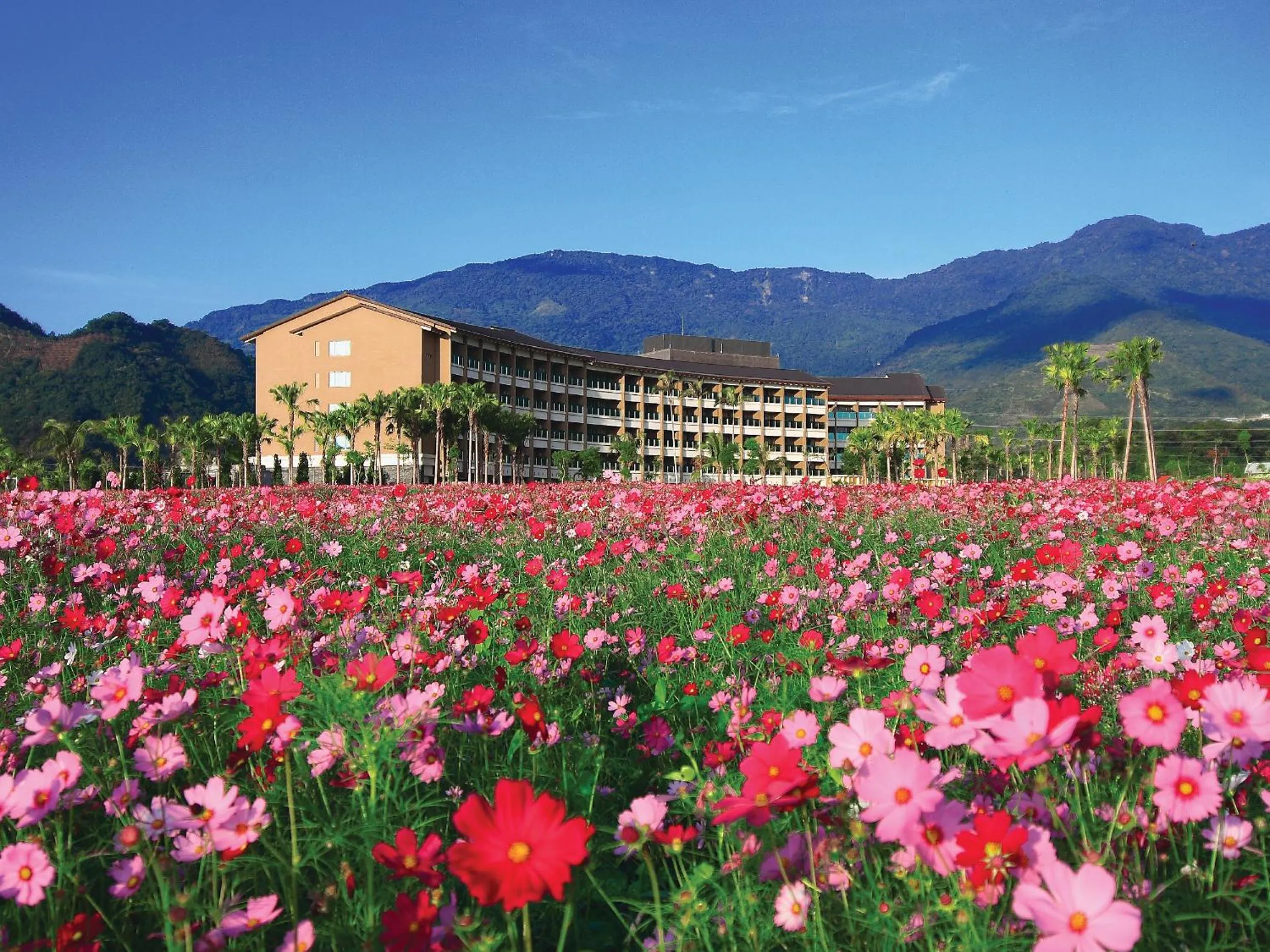 Garden in Luminous Hot Spring Resort & SPA