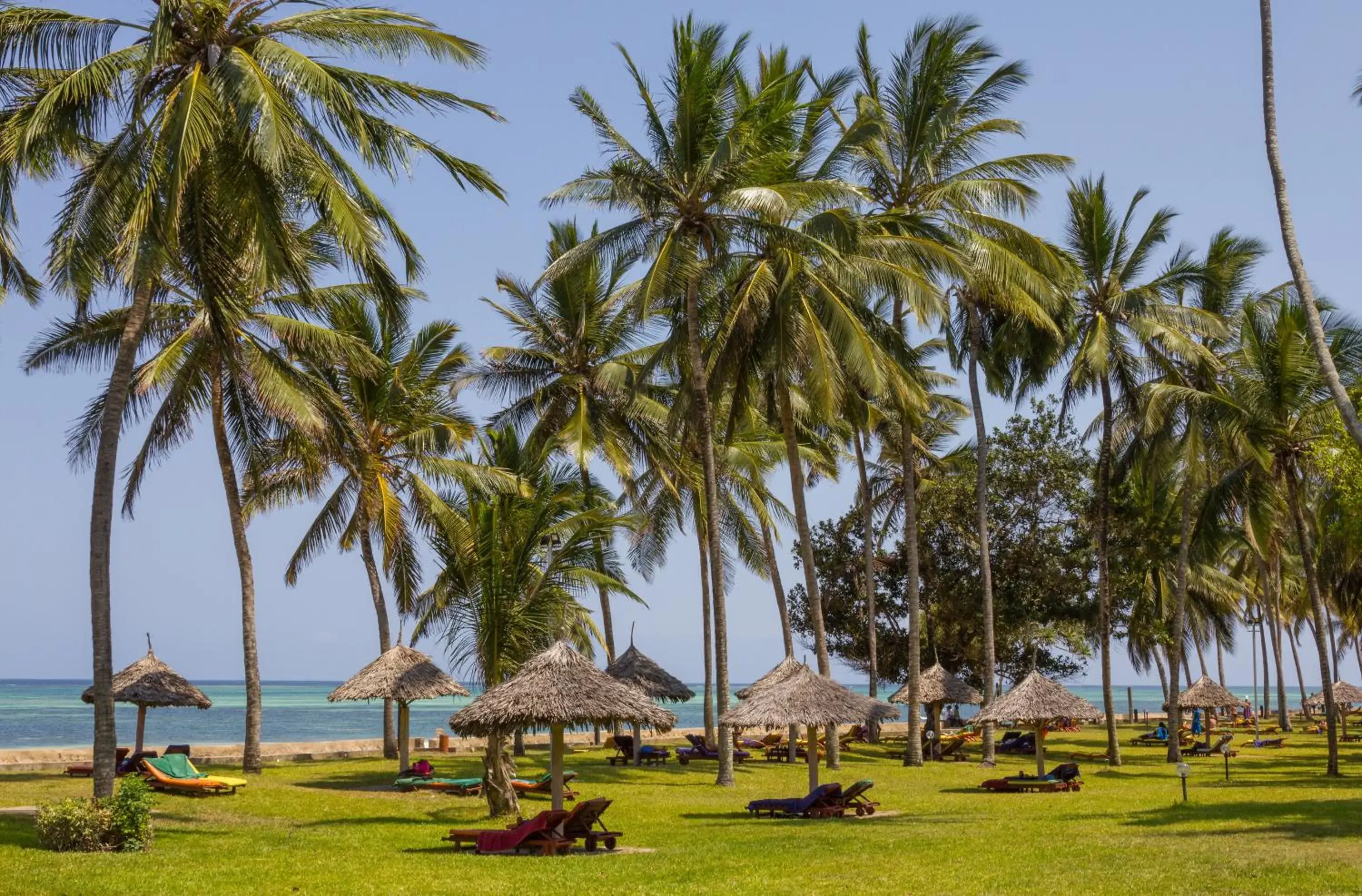 Sea view in Neptune Paradise Beach Resort & Spa - All Inclusive Sea view in Neptune Paradise Beach Resort & Spa - All Inclusive