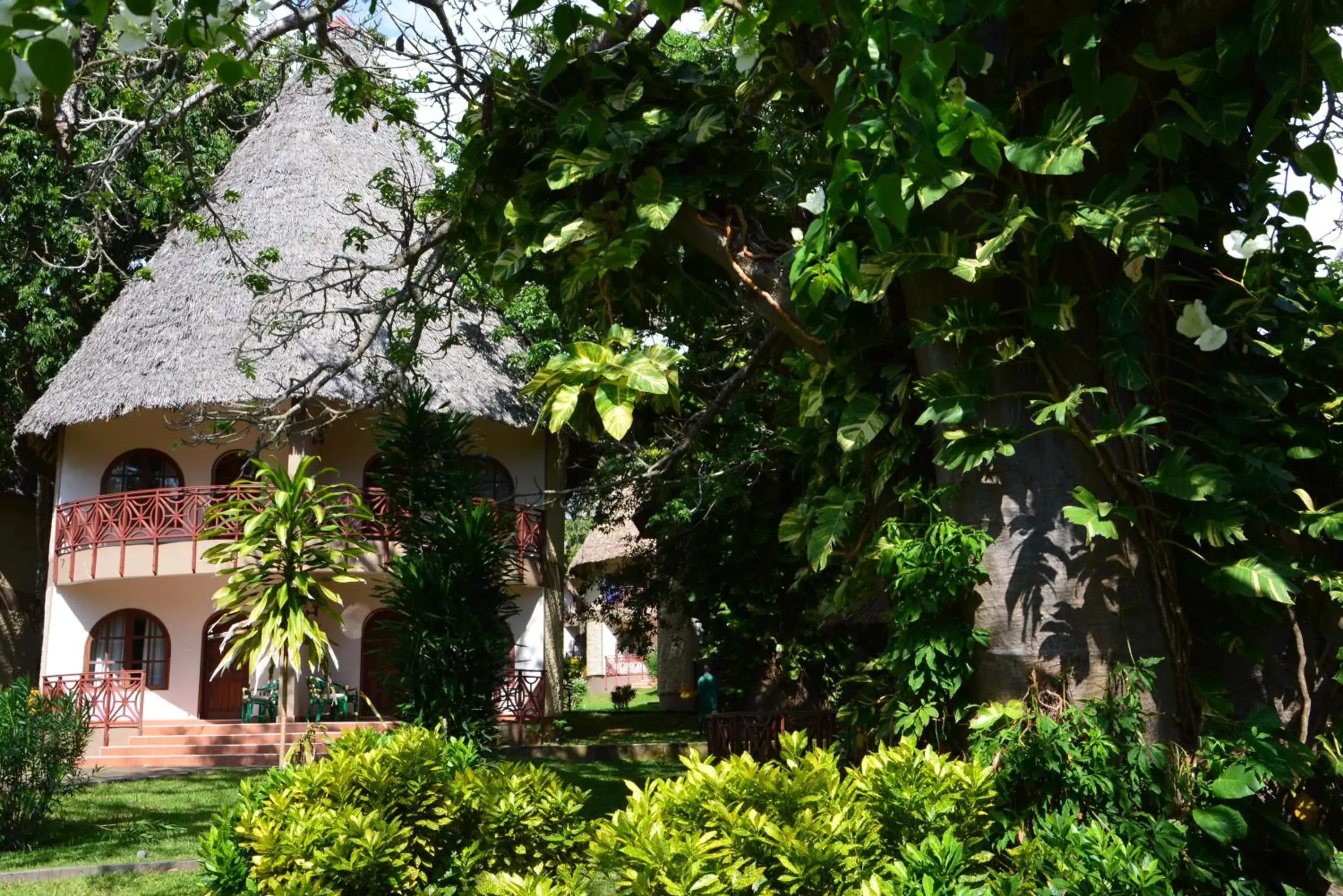 Garden view in Neptune Paradise Beach Resort & Spa - All Inclusive Garden view in Neptune Paradise Beach Resort & Spa - All Inclusive