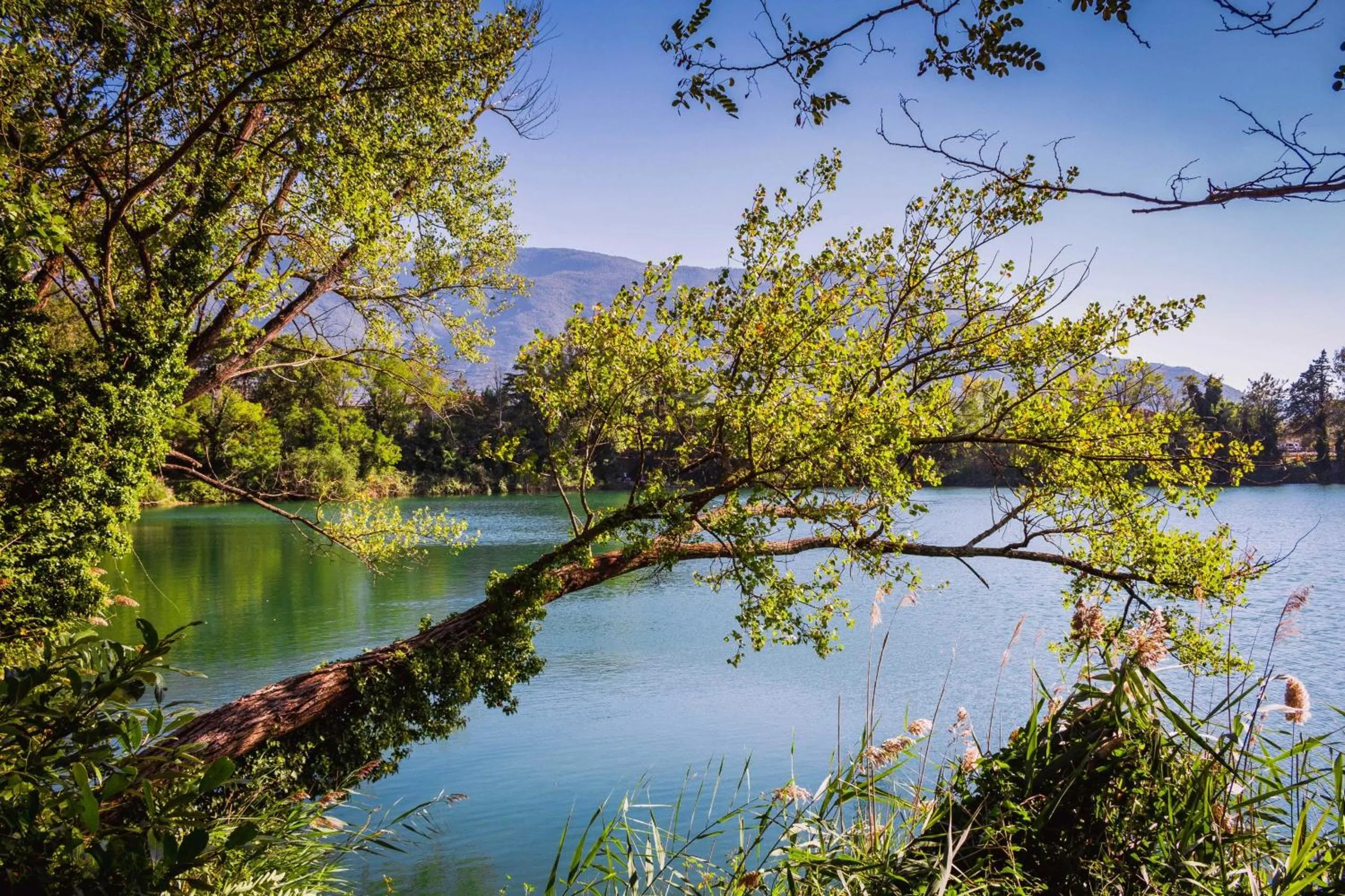 Natural landscape in Hotel Del Lago