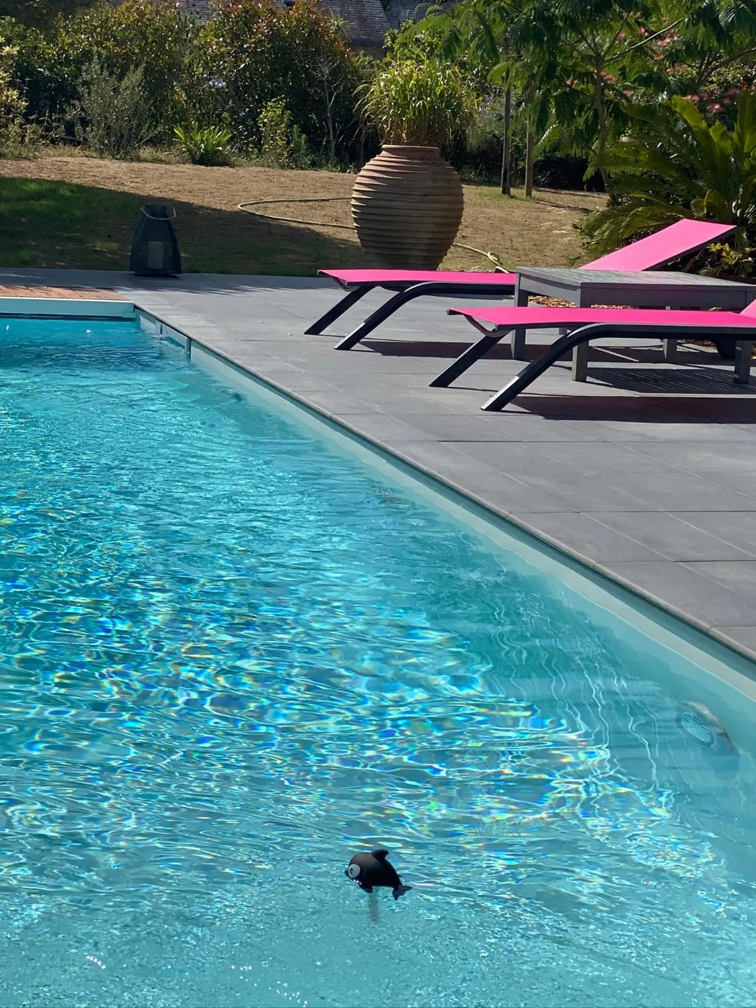 Swimming pool in LES EVENS La Baule