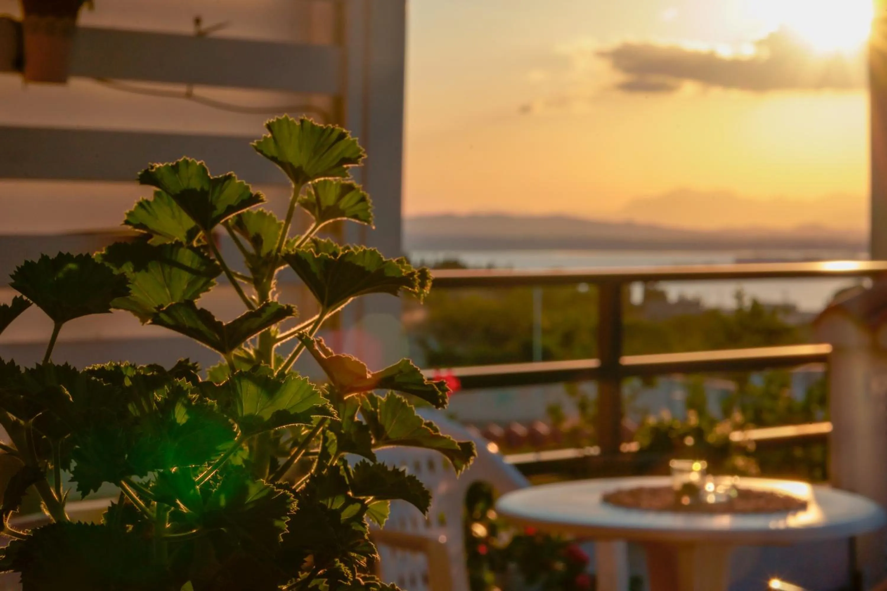 View (from property/room) in Nùe Rooms