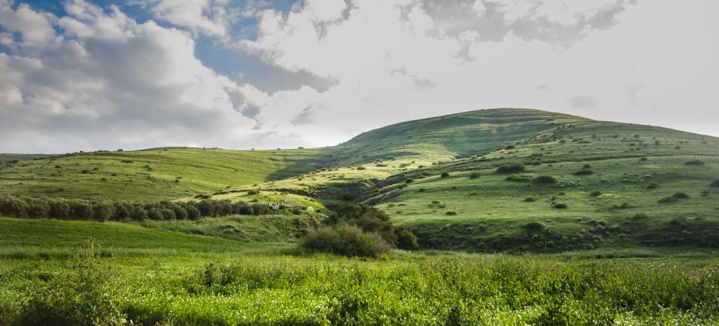 River view in Avigail Guest House