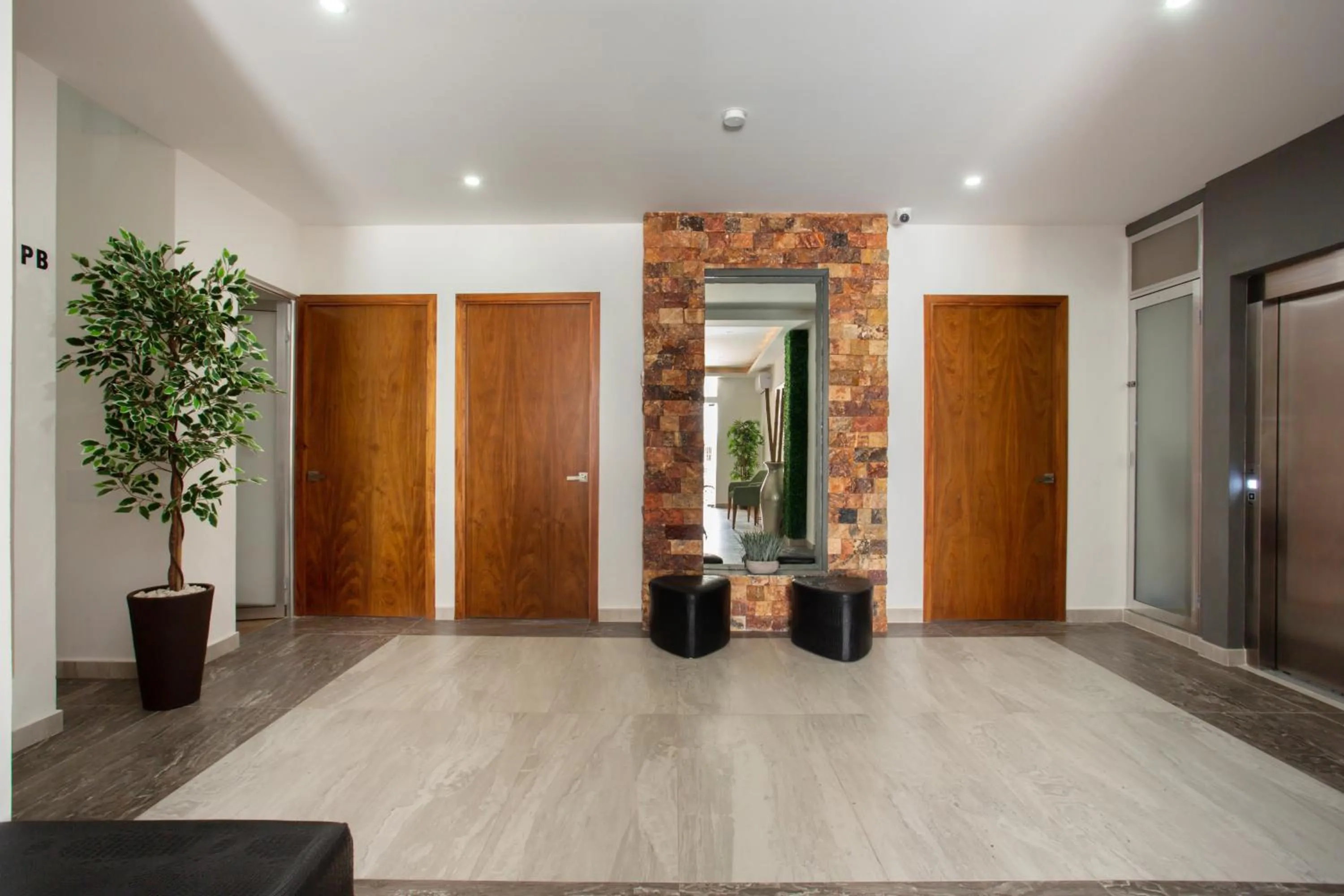 Area and facilities in Edificio Vanessa 24 studios