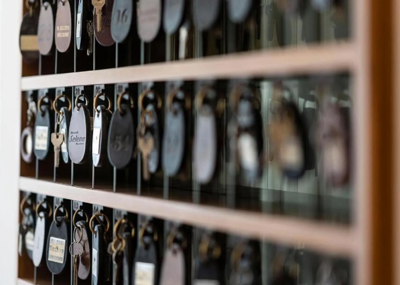Lobby or reception in Hotel Selene - Vista Mare