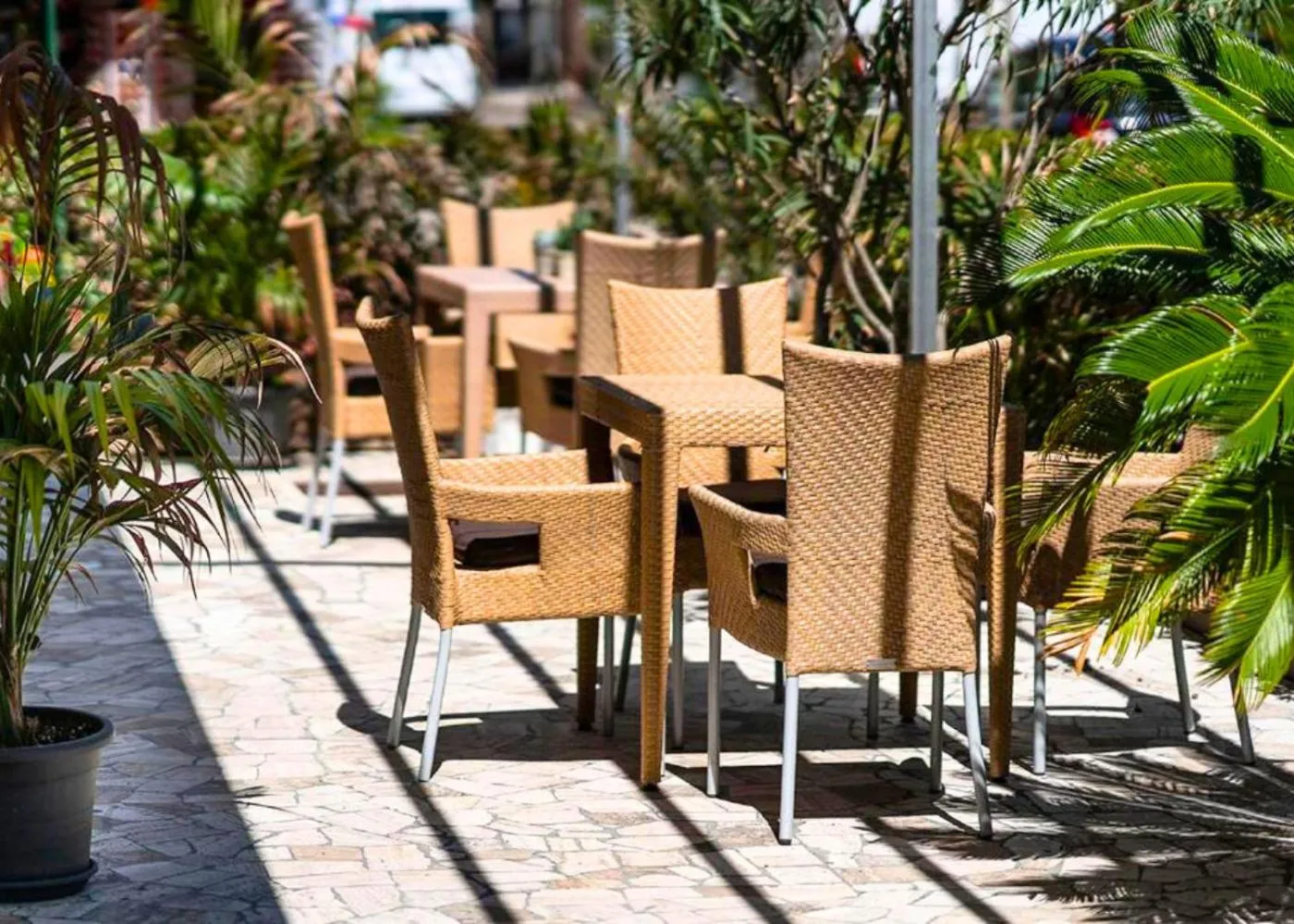 Garden in Hotel Selene - Vista Mare