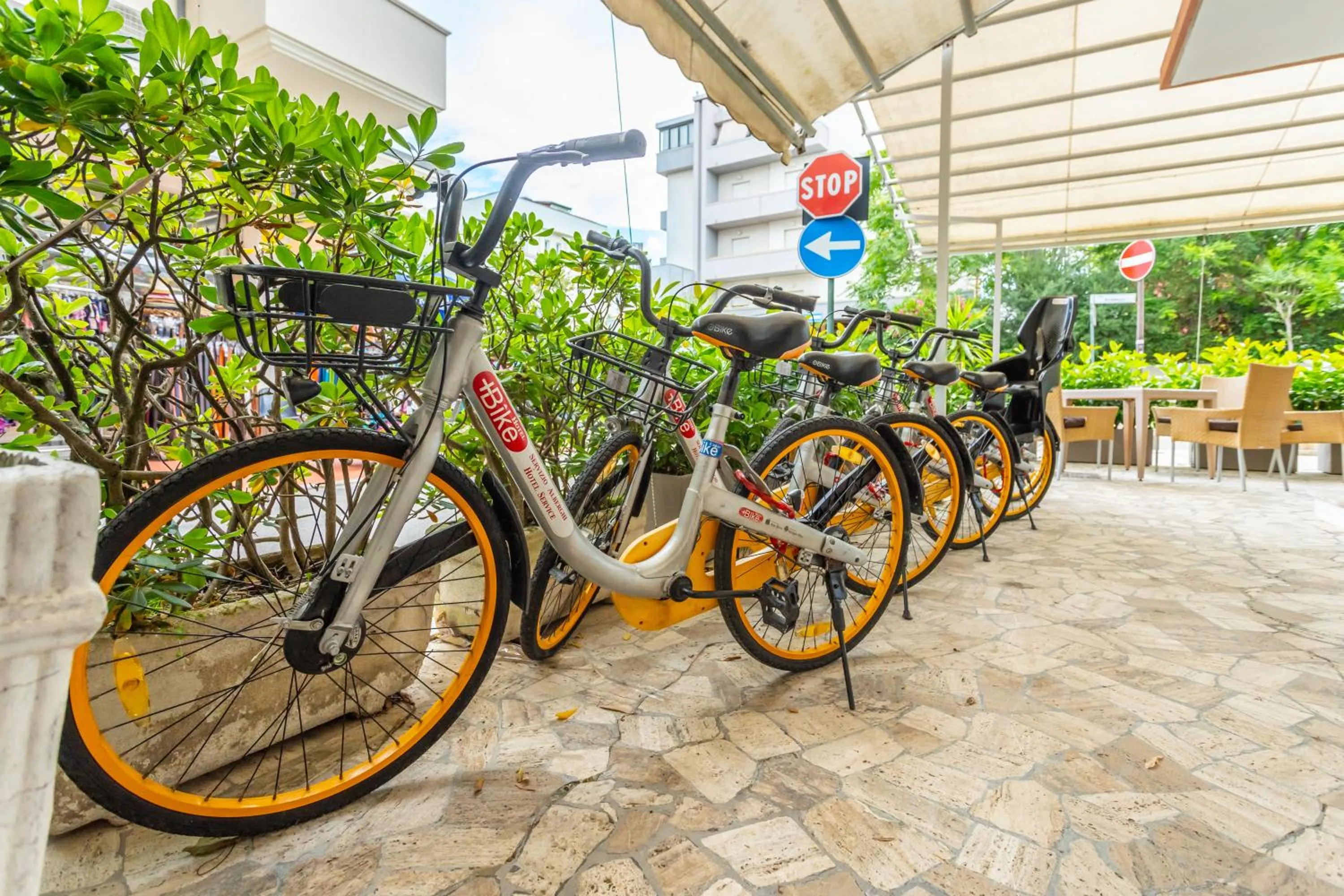 Garden in Hotel Selene - Vista Mare
