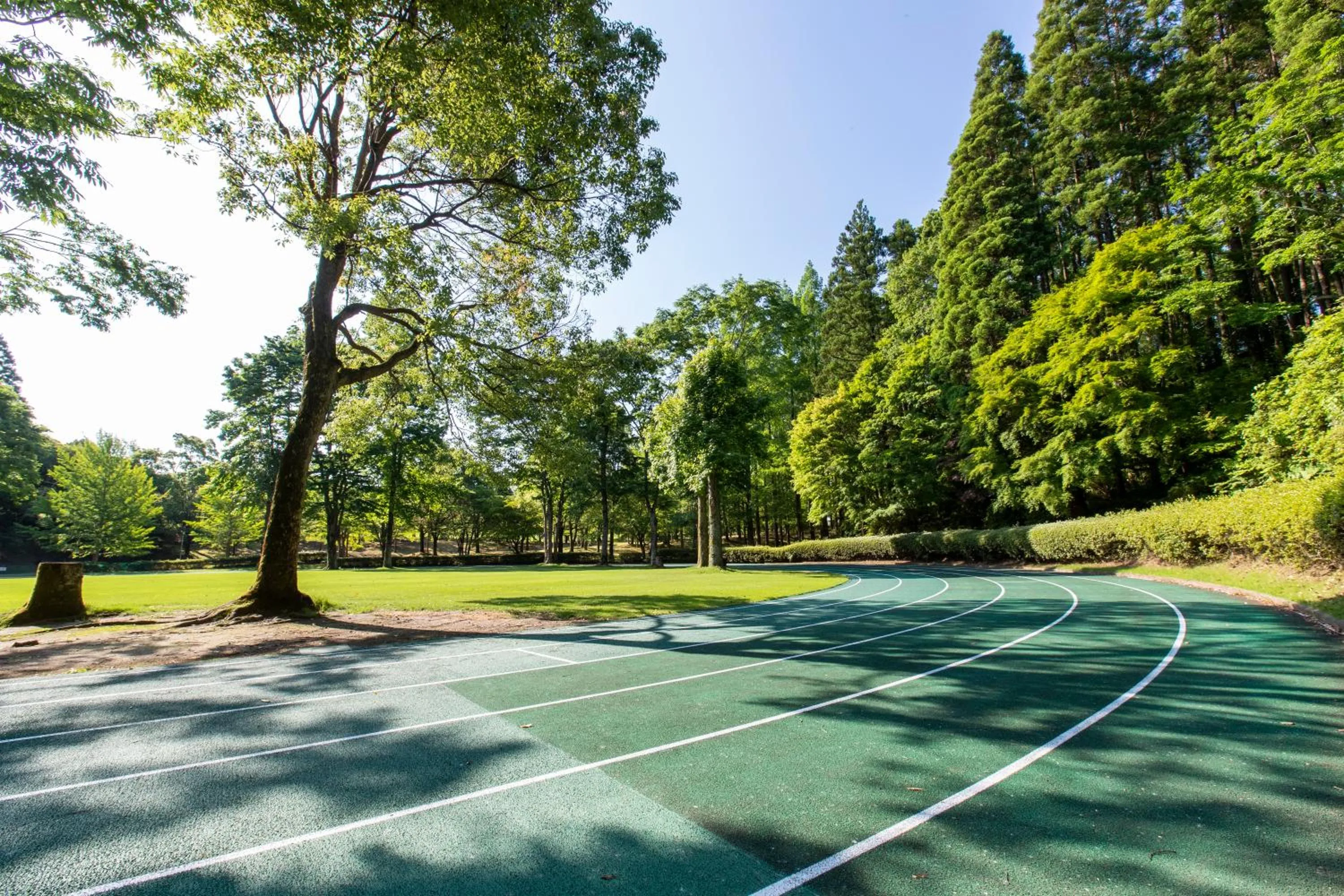 Sports in Resol no Mori