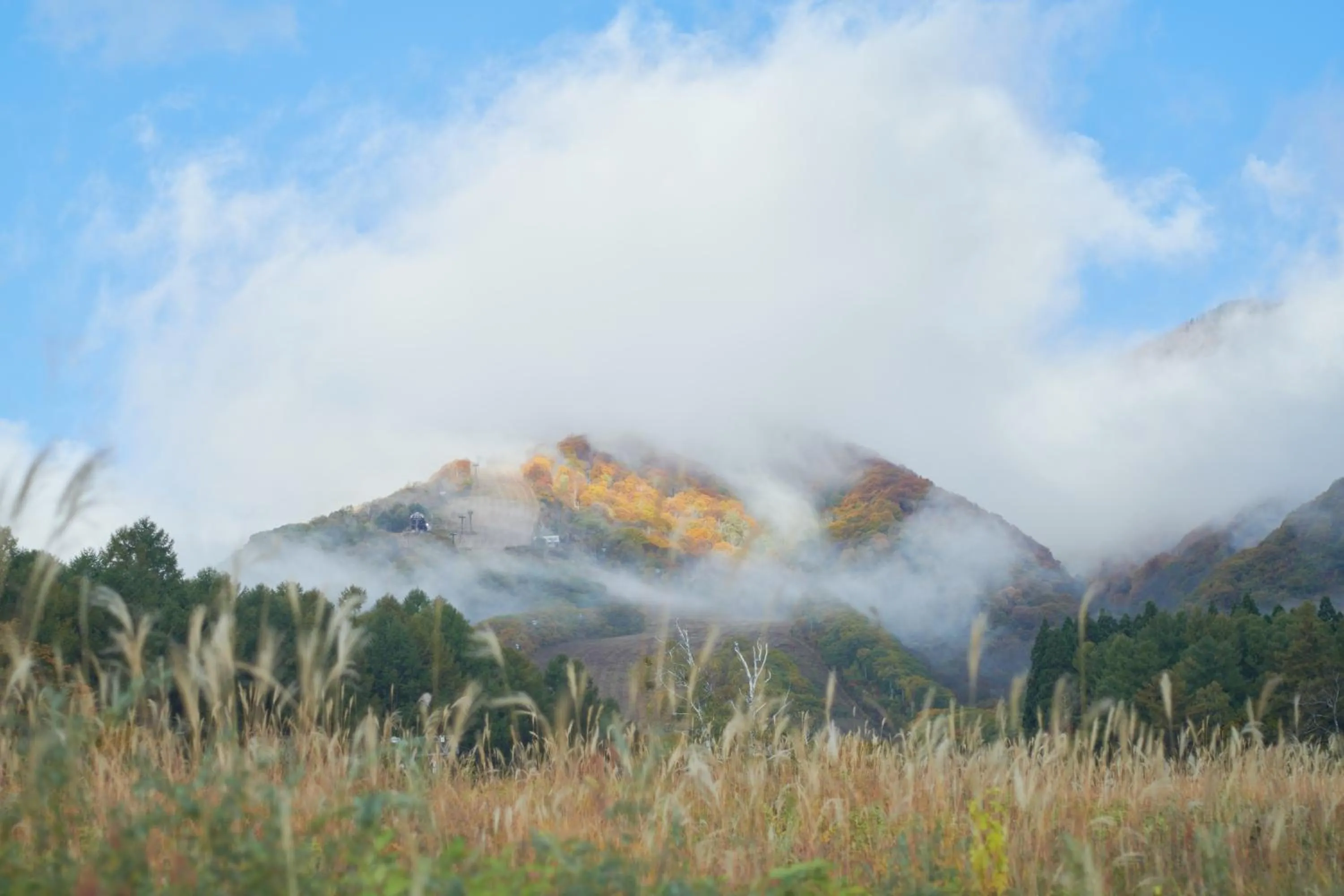 HA-MON Slope Side Hotel and Private Chalet