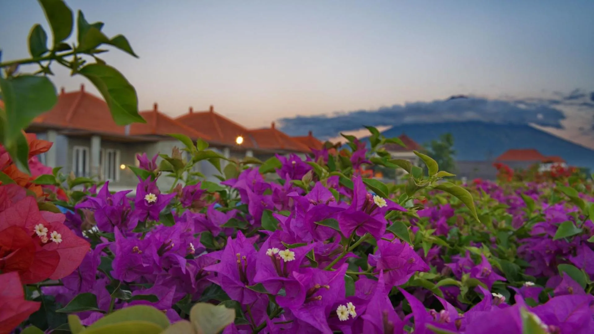 Natural landscape in Seamount Hotel Amed