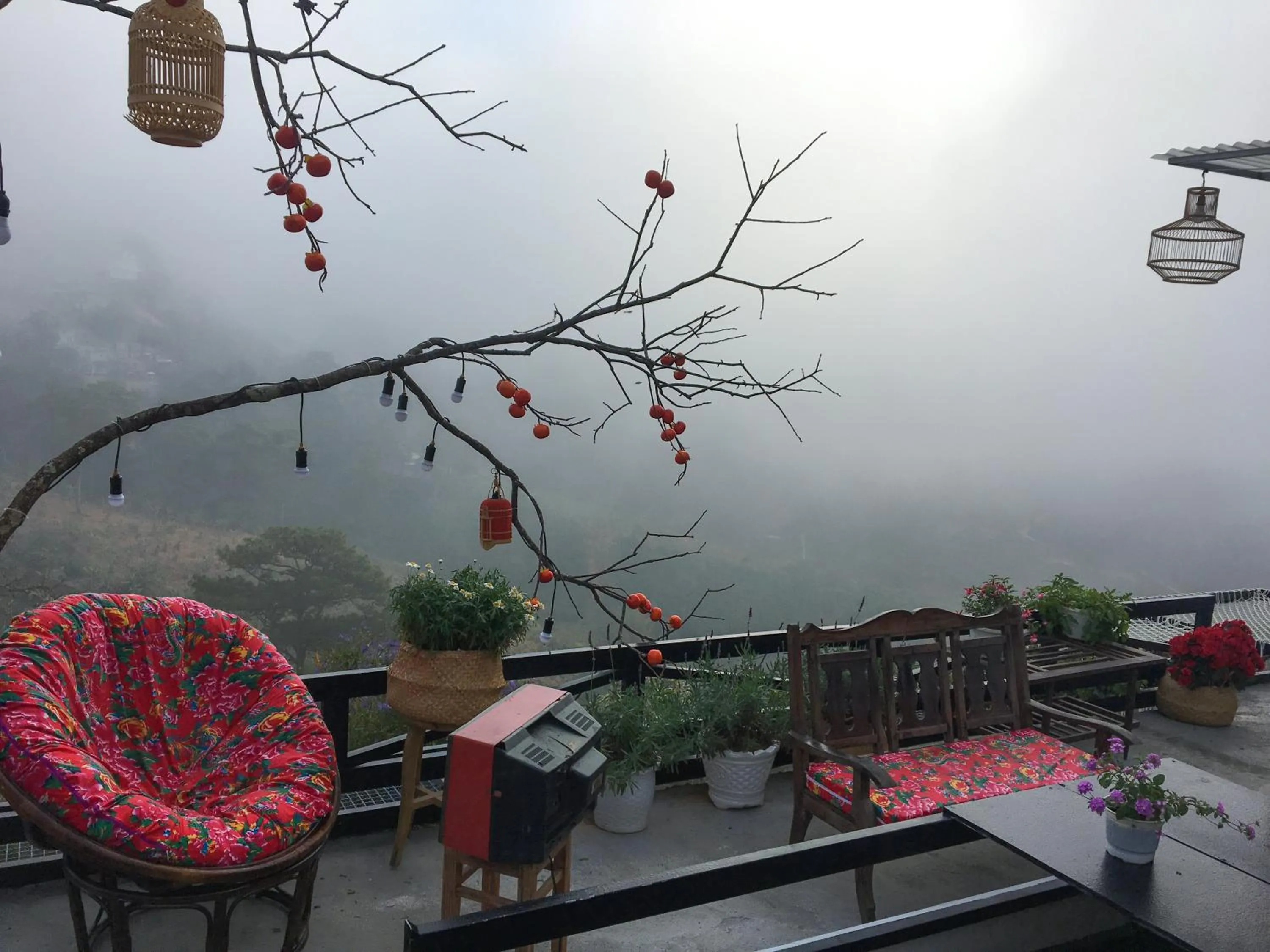 View (from property/room) in An Yên Villa Đà Lạt