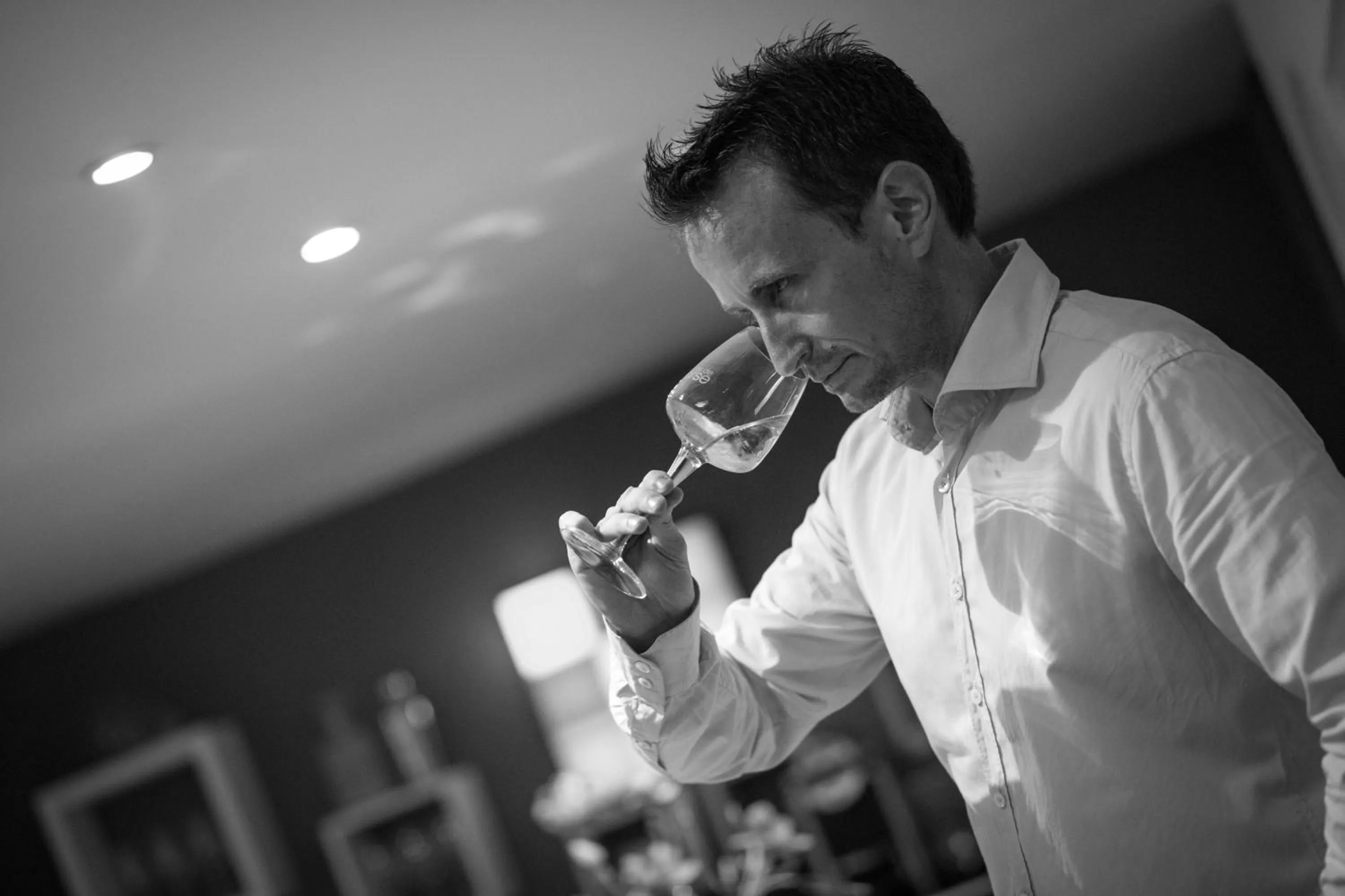 Alcoholic drinks in Sud Hôtel Restaurant