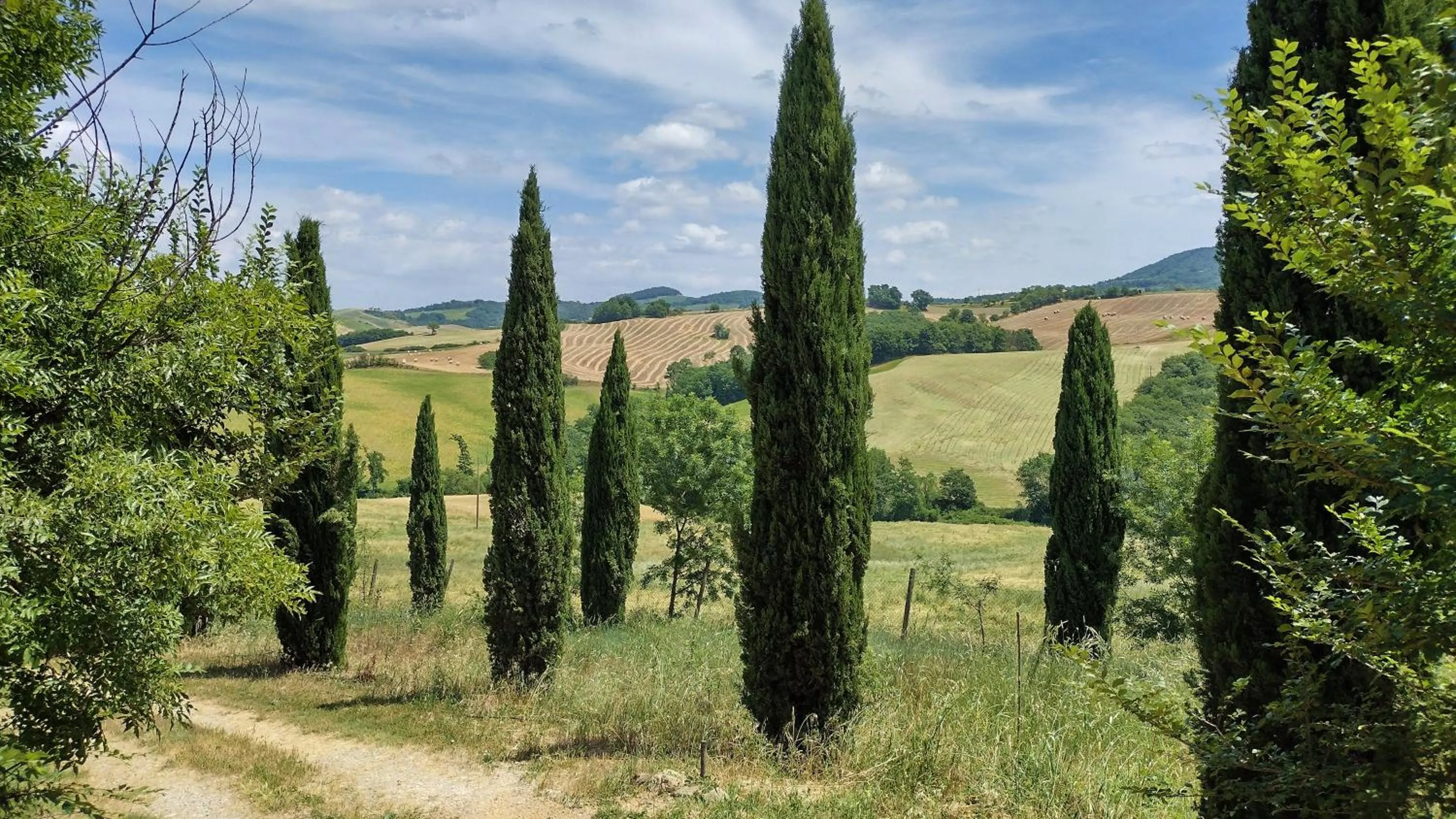 Natural landscape in Casale Refoli