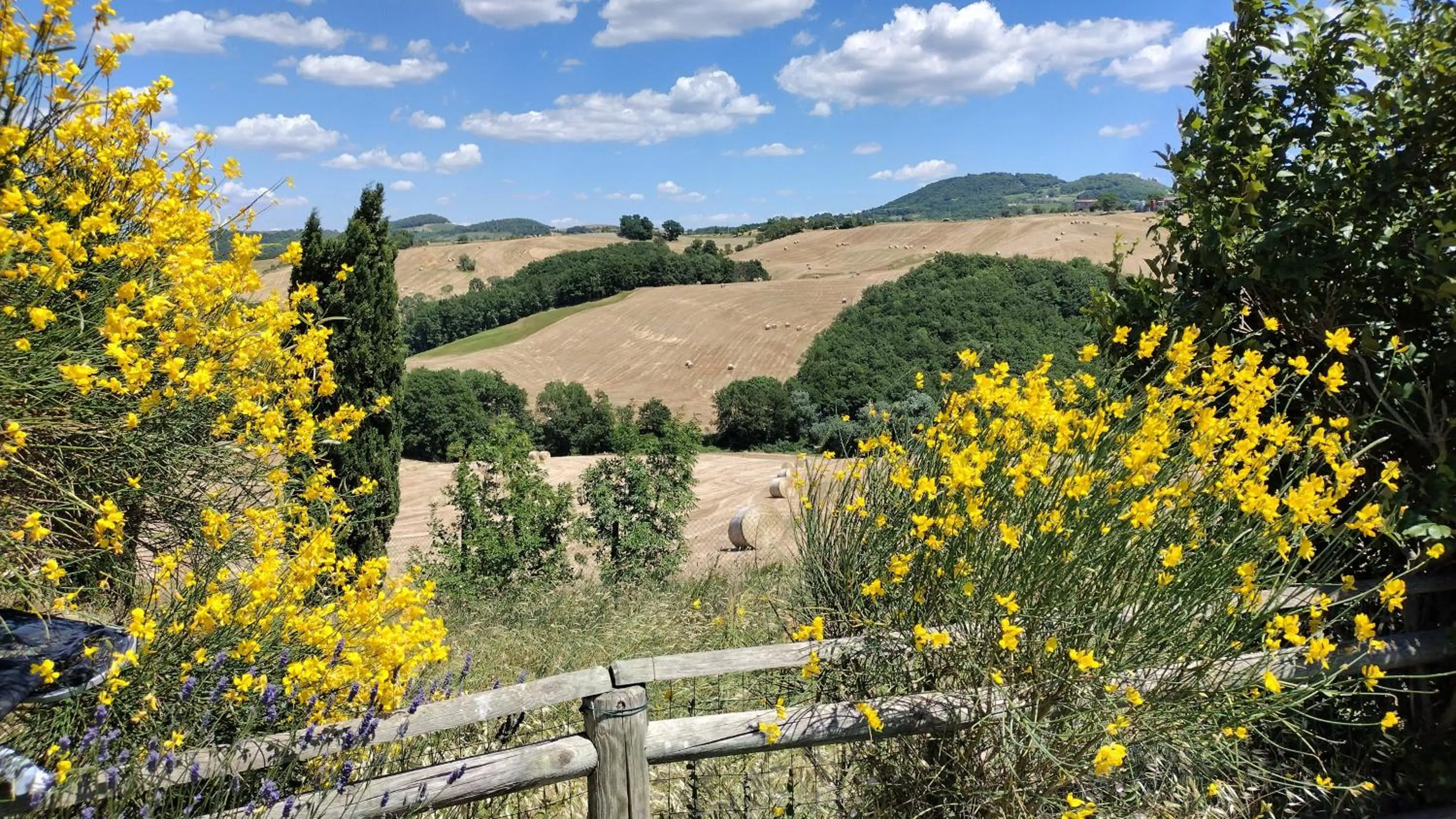 View (from property/room) in Casale Refoli