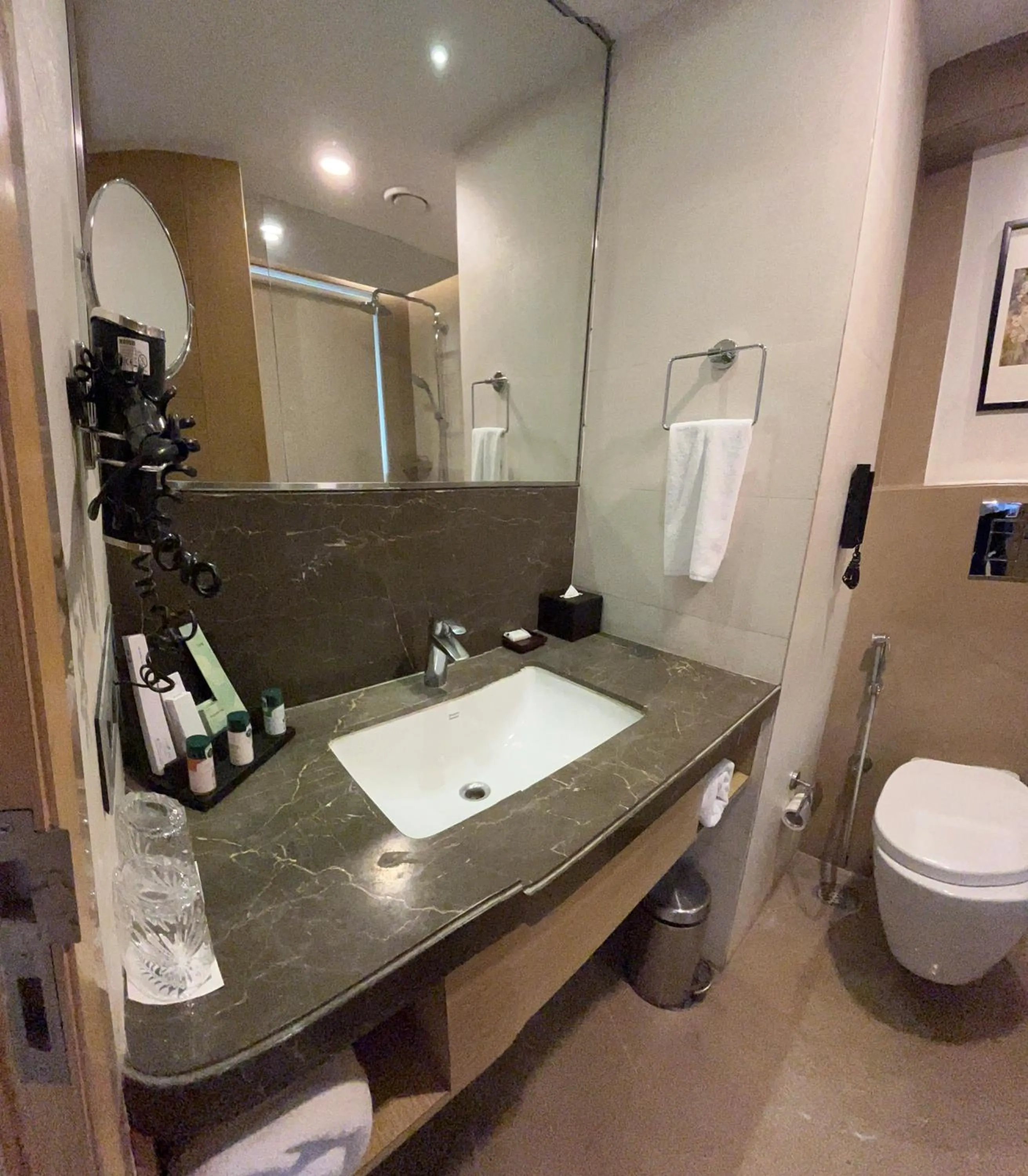 Bathroom in The Fern Residency Sarnath