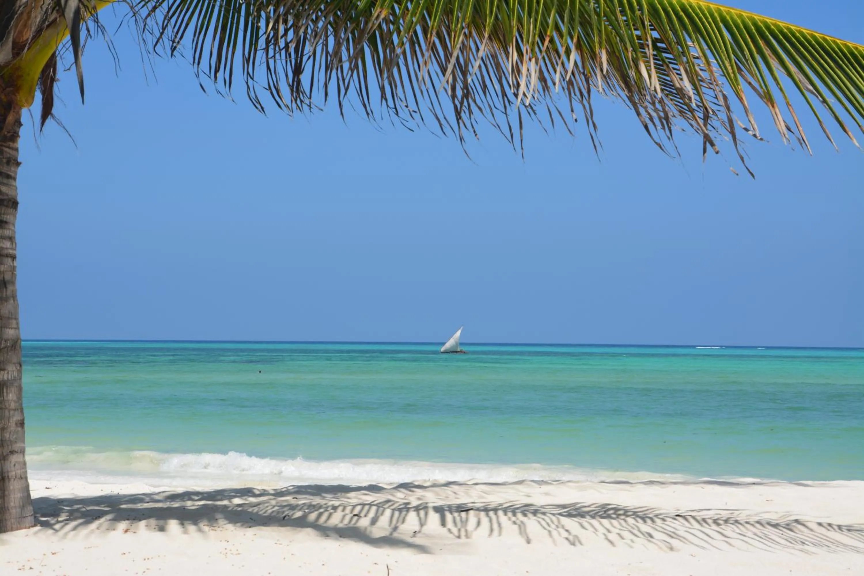 Beach in Neptune Pwani Beach Resort & Spa Zanzibar - All Inclusive