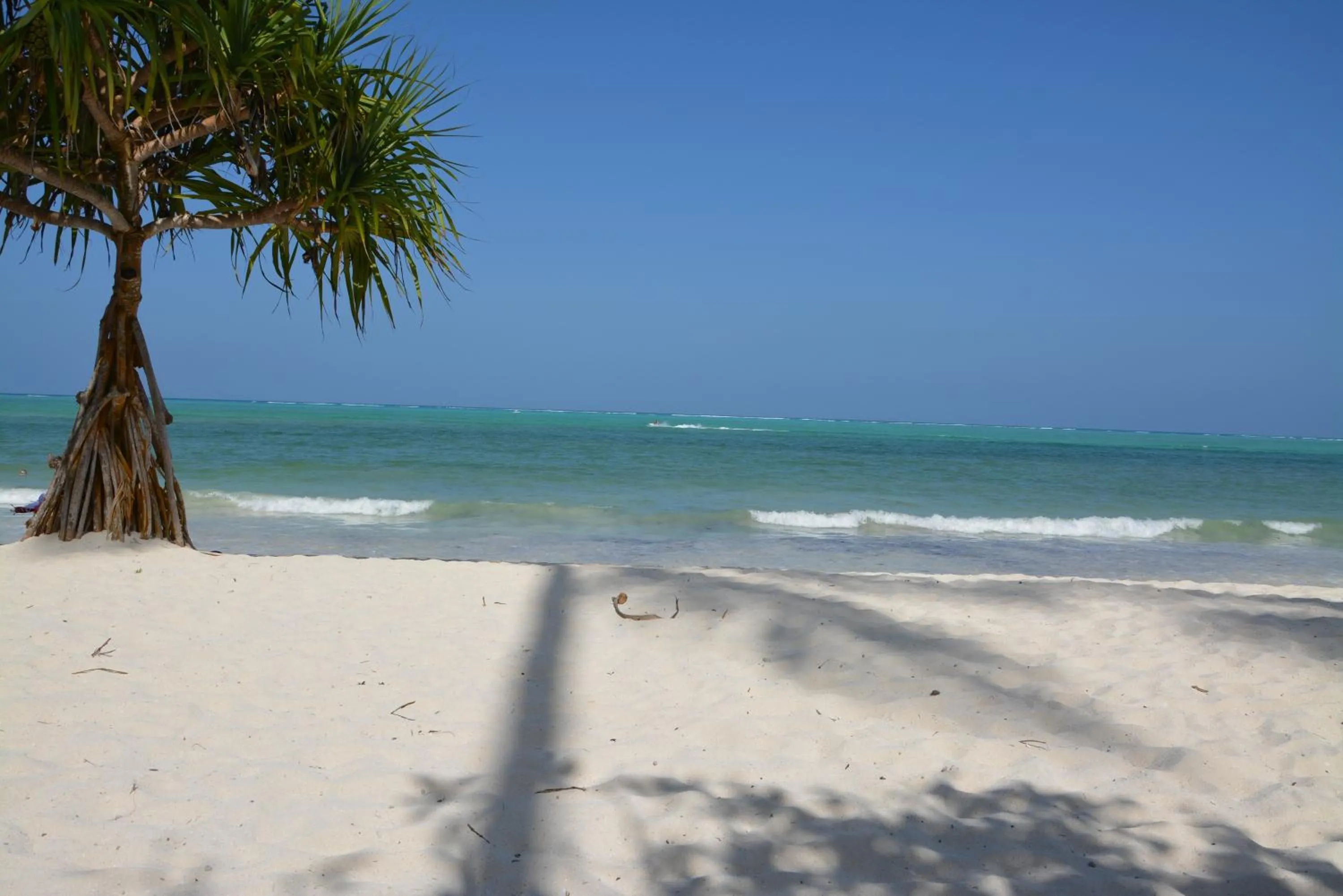 Beach in Neptune Pwani Beach Resort & Spa Zanzibar - All Inclusive