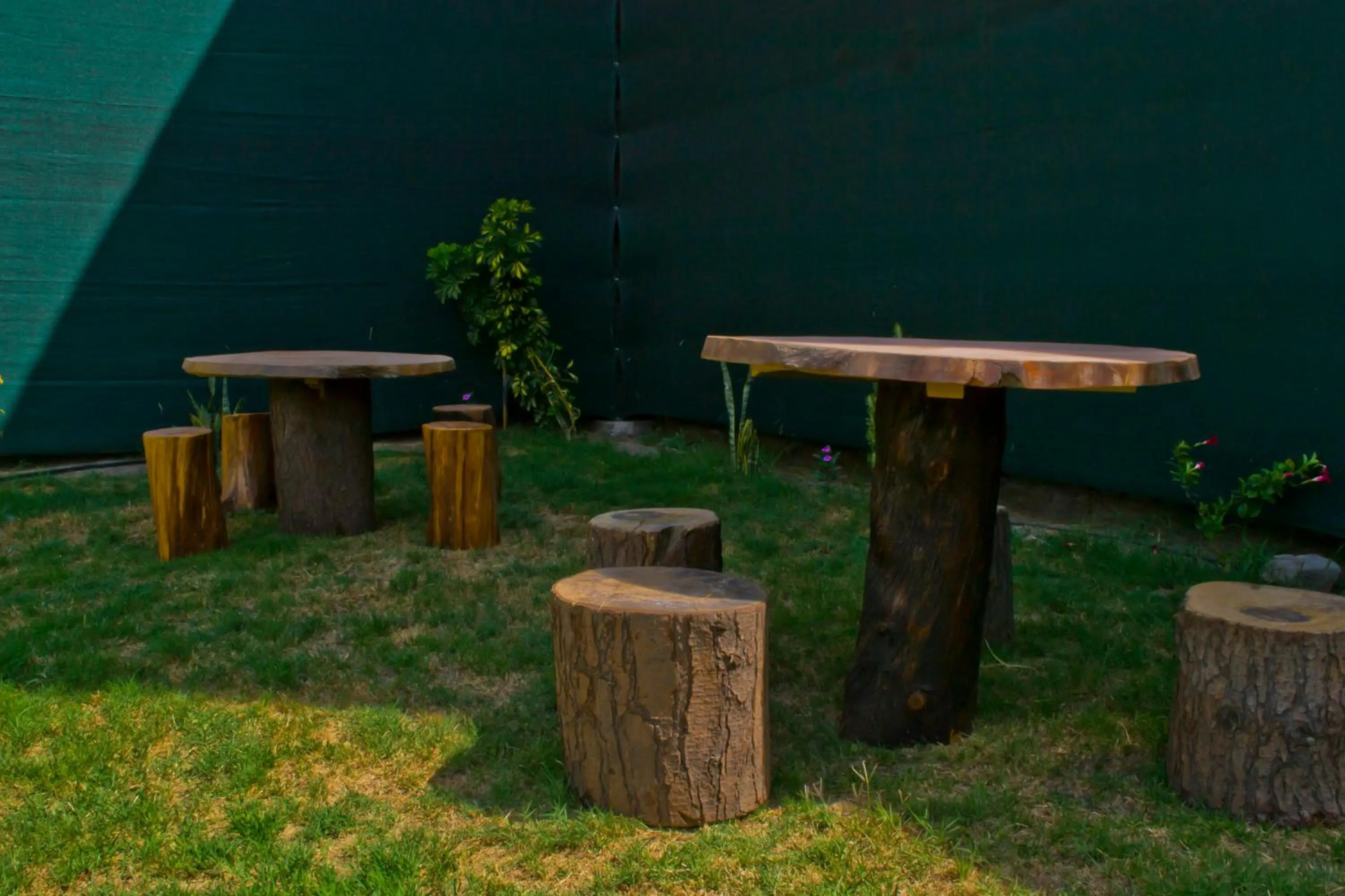 Garden in Hotel La Casona Del Olivo Arequipa