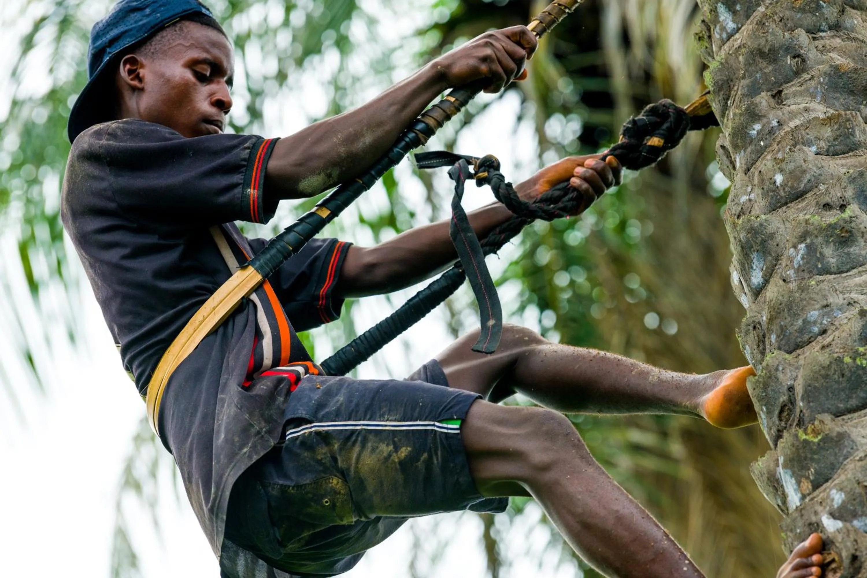 Off site in Tamba Kuruba Eco-lodge
