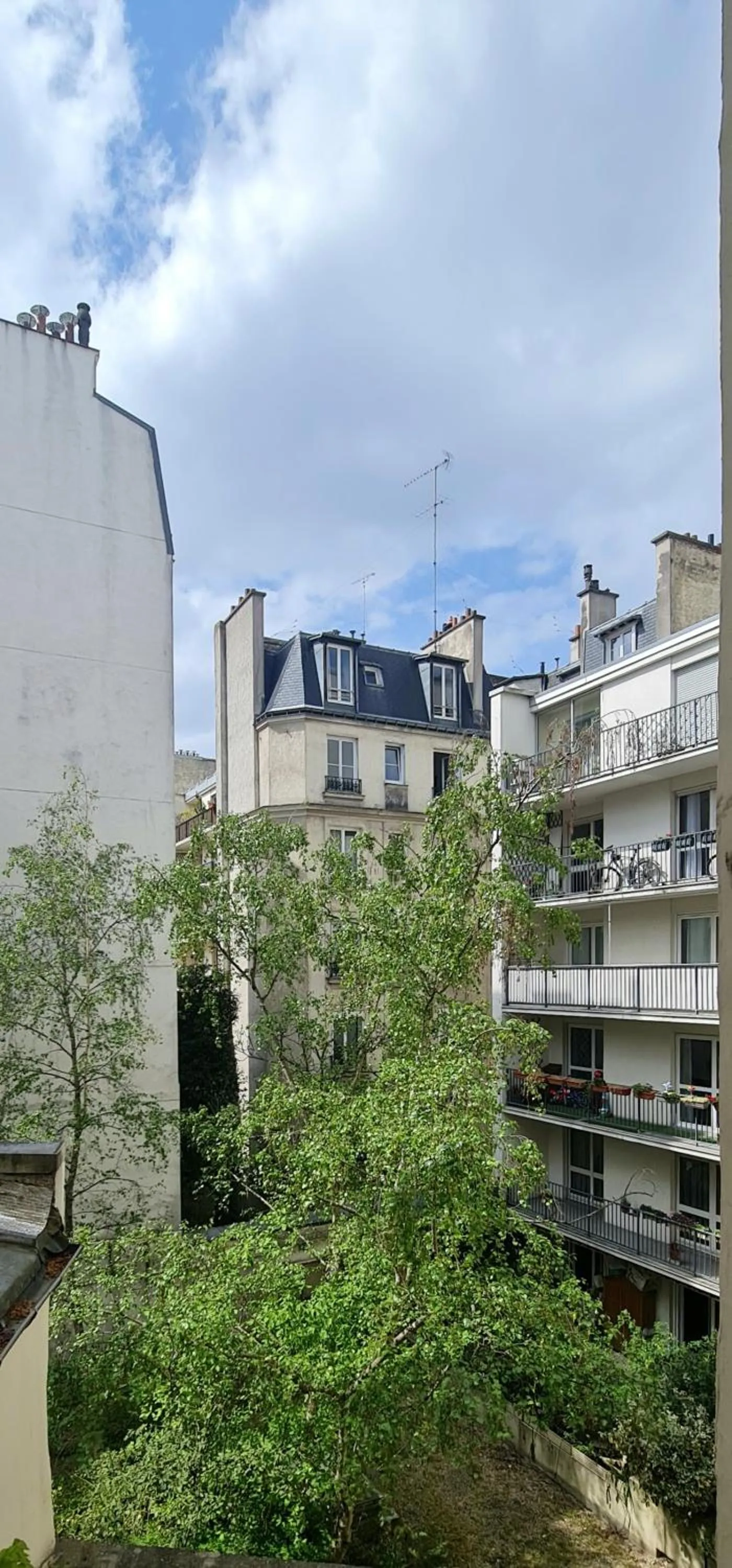 Garden view in Hotel de France 18