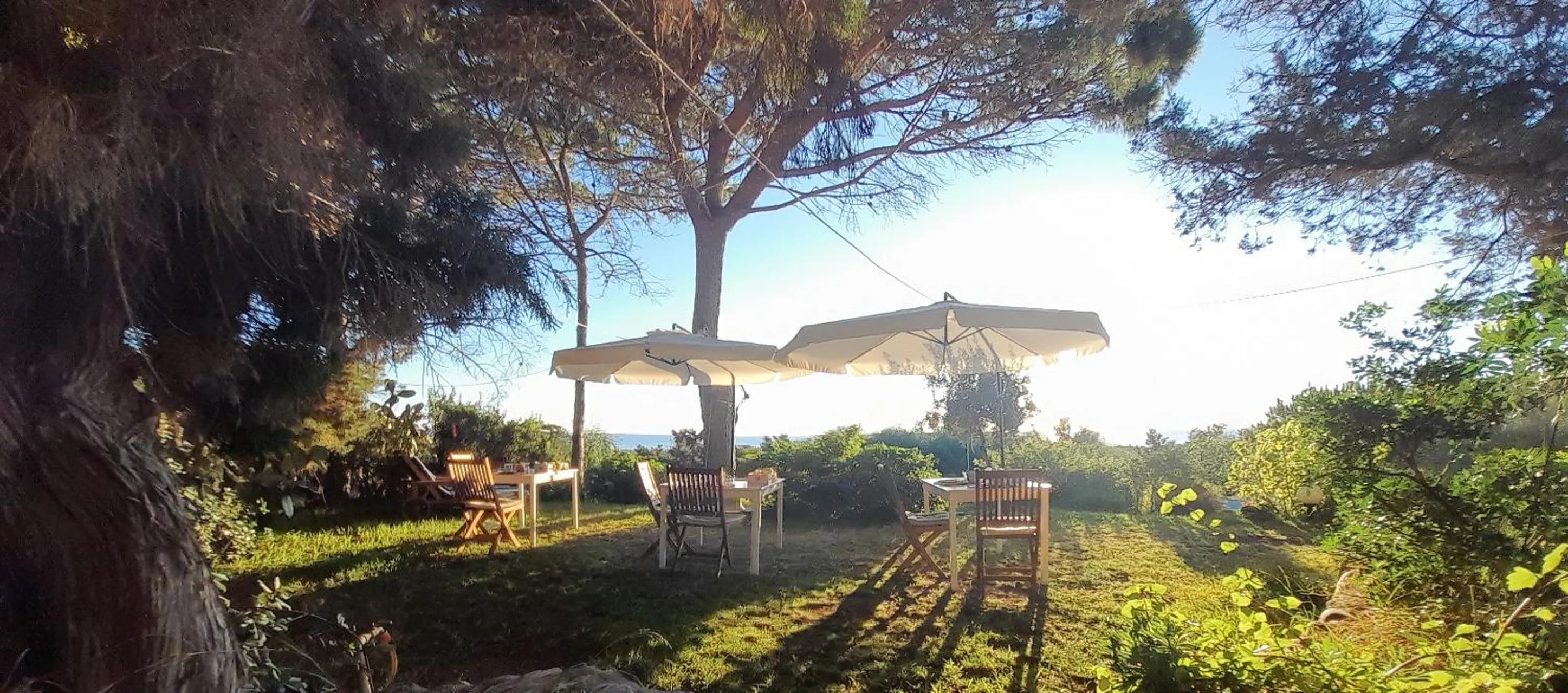 Mirto E Mare